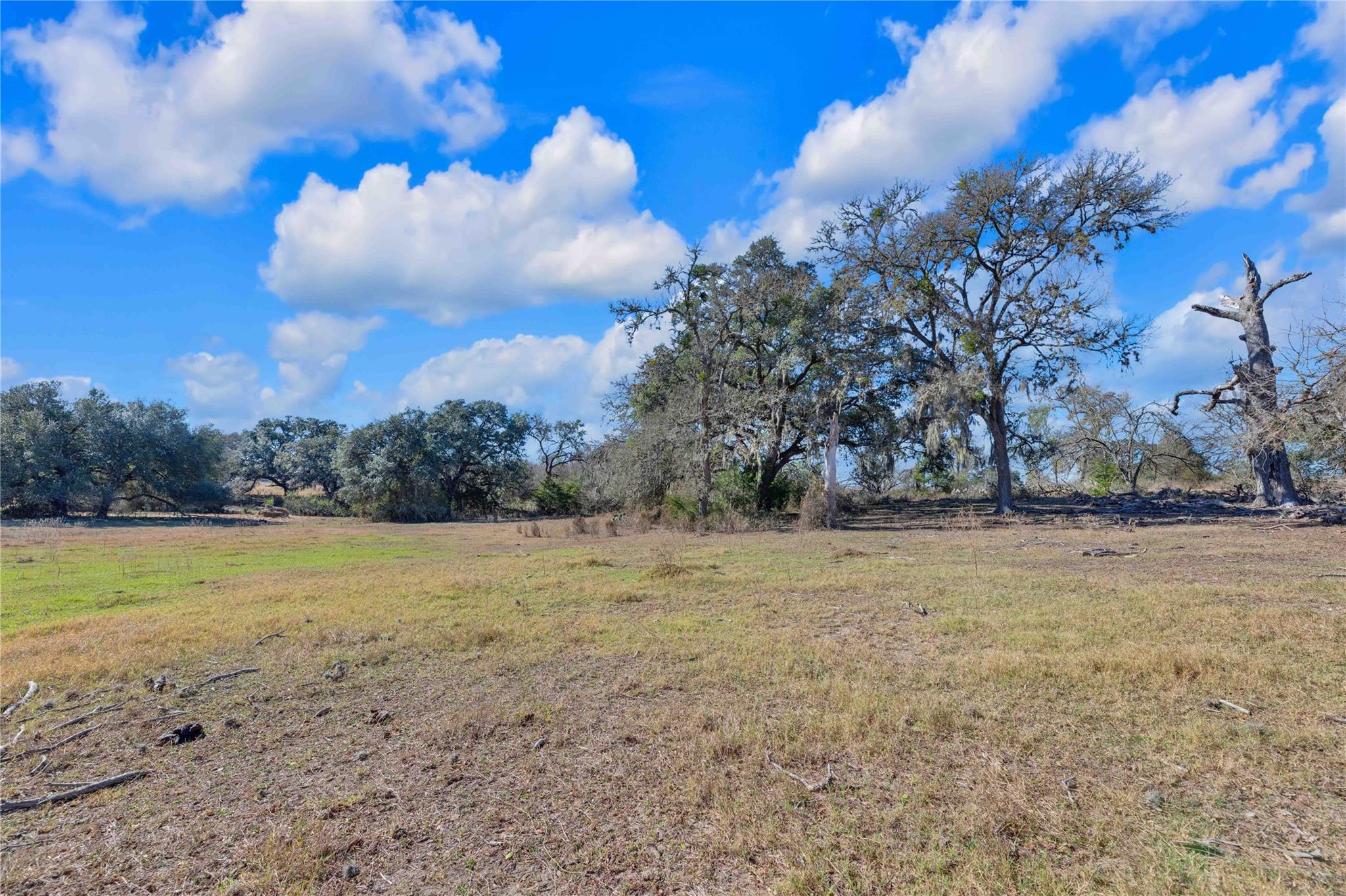 1243 North Jefferson Highway, La Grange, TX 78945