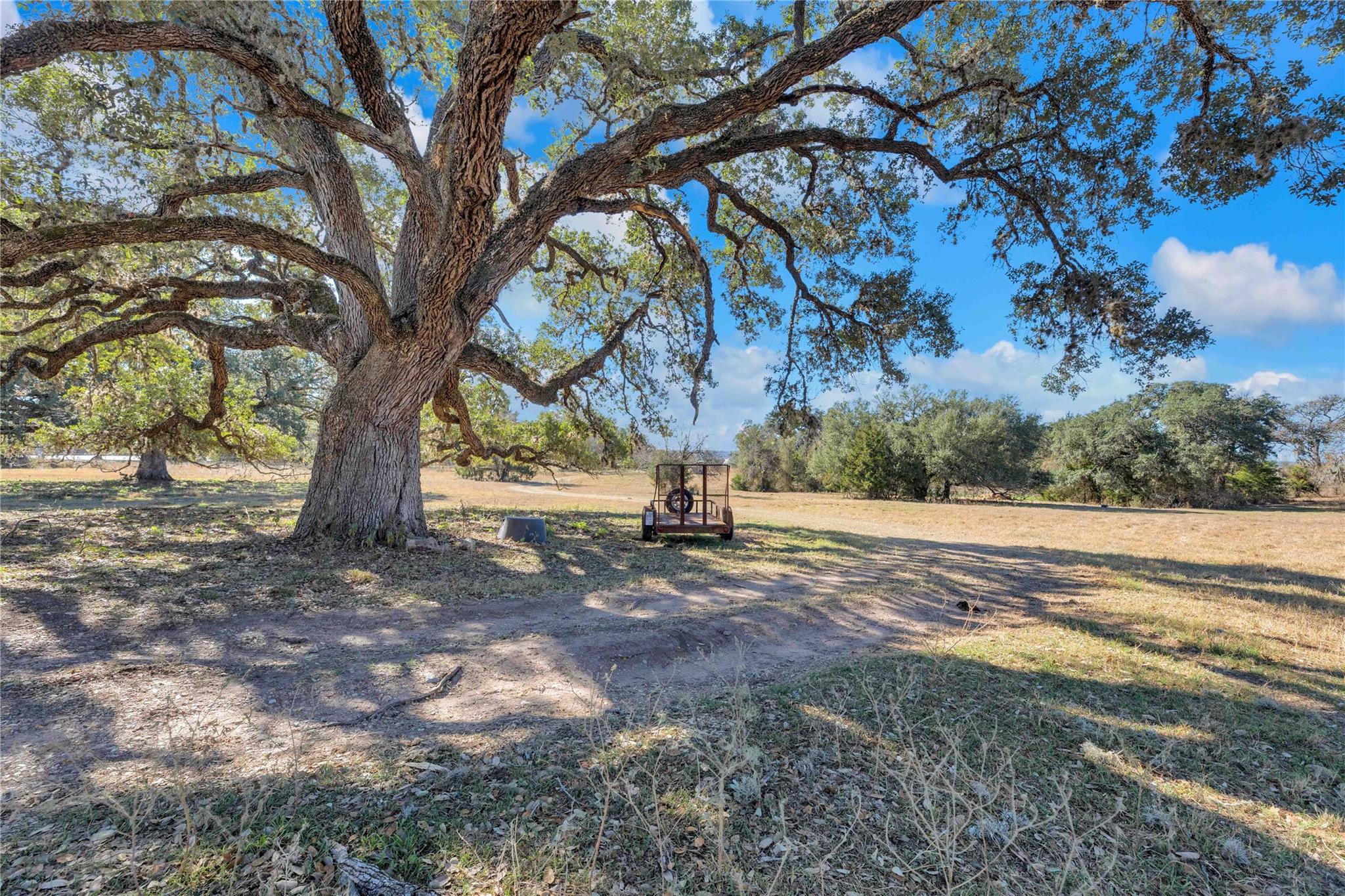 1243 North Jefferson Highway, La Grange, TX 78945