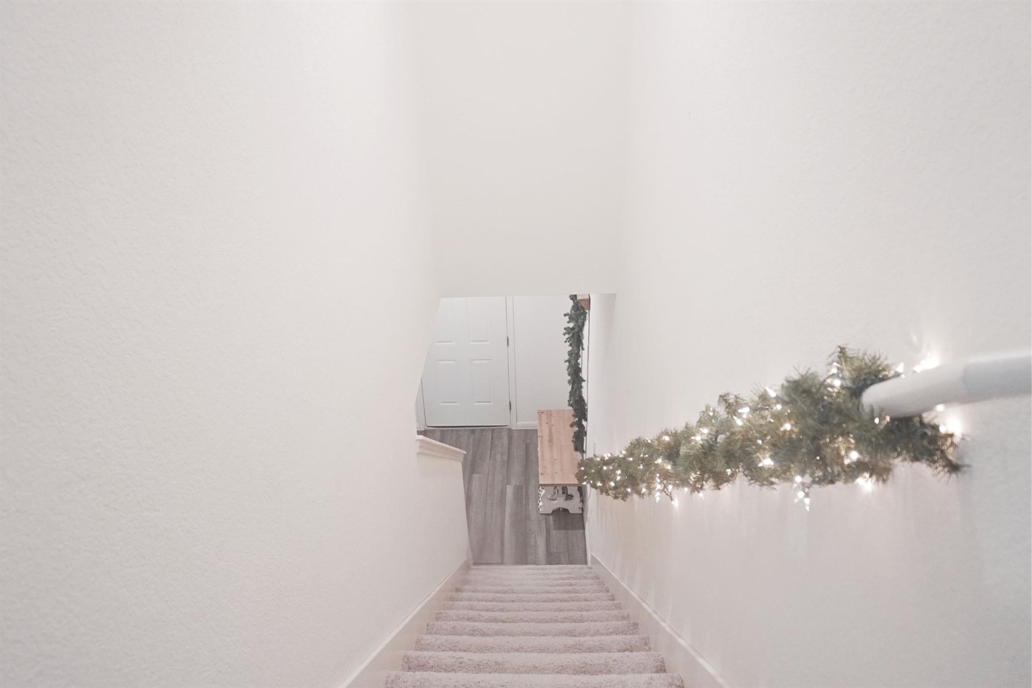 313 Magnum Force Dr, Jarrell, TX 76537