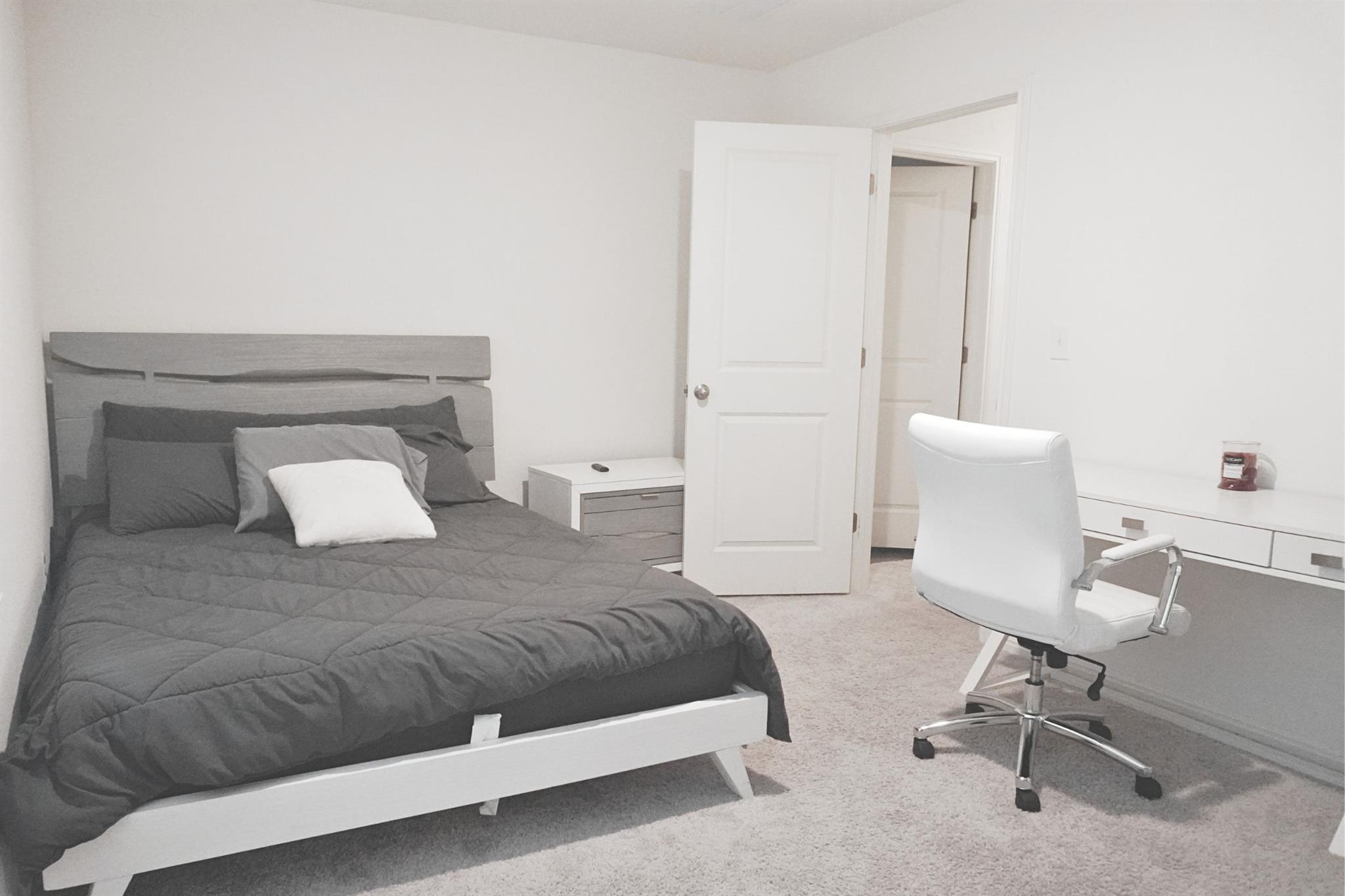 313 Magnum Force Dr, Jarrell, TX 76537