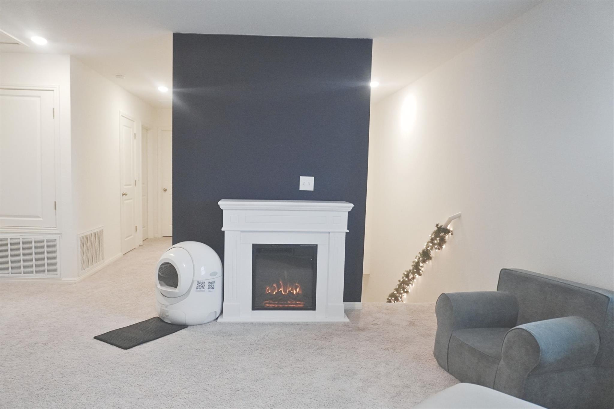 313 Magnum Force Dr, Jarrell, TX 76537