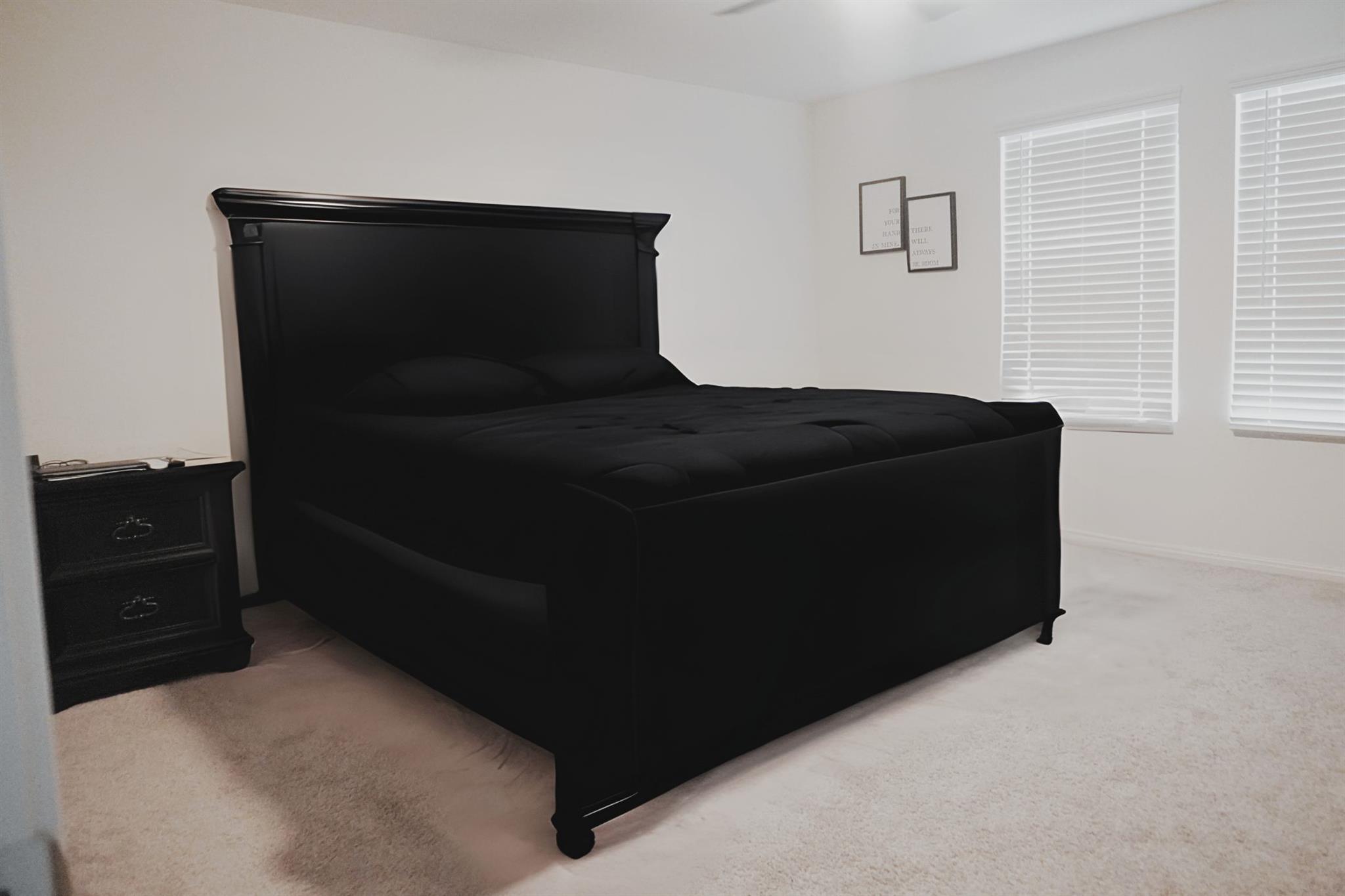 313 Magnum Force Dr, Jarrell, TX 76537