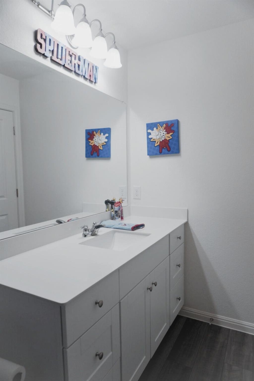 313 Magnum Force Dr, Jarrell, TX 76537