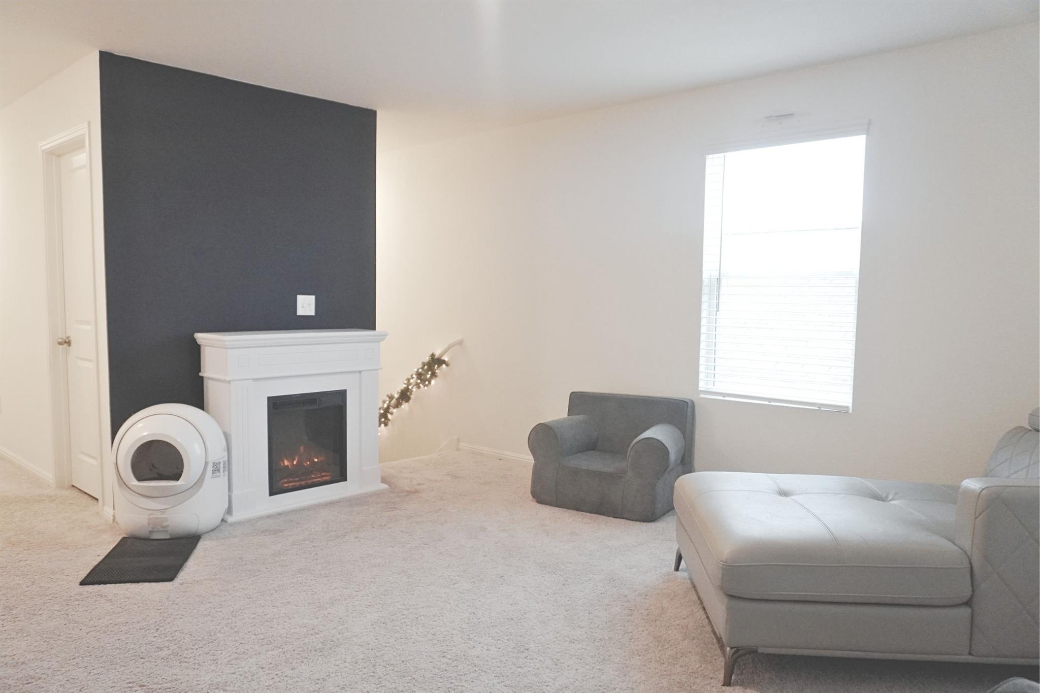 313 Magnum Force Dr, Jarrell, TX 76537