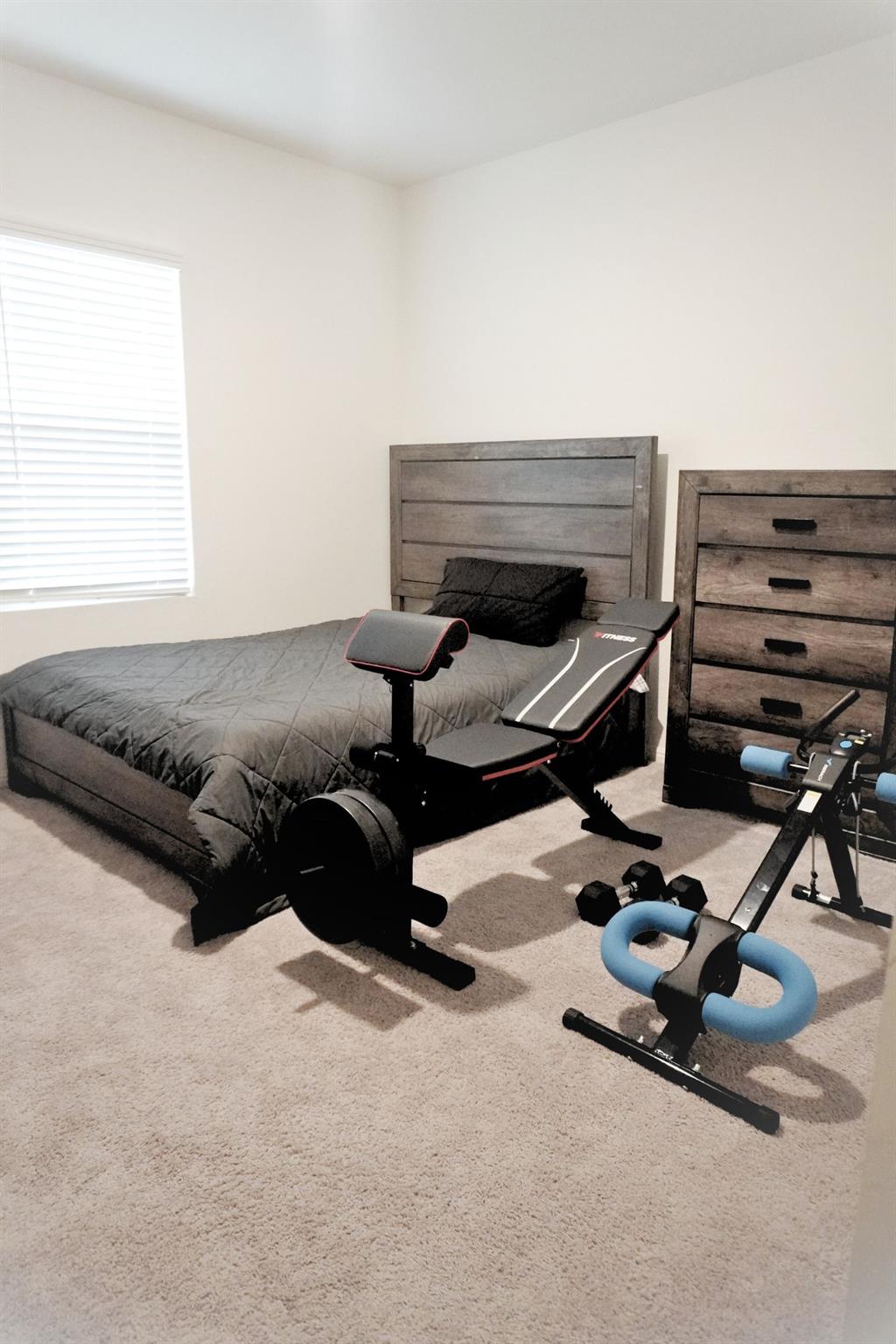 313 Magnum Force Dr, Jarrell, TX 76537