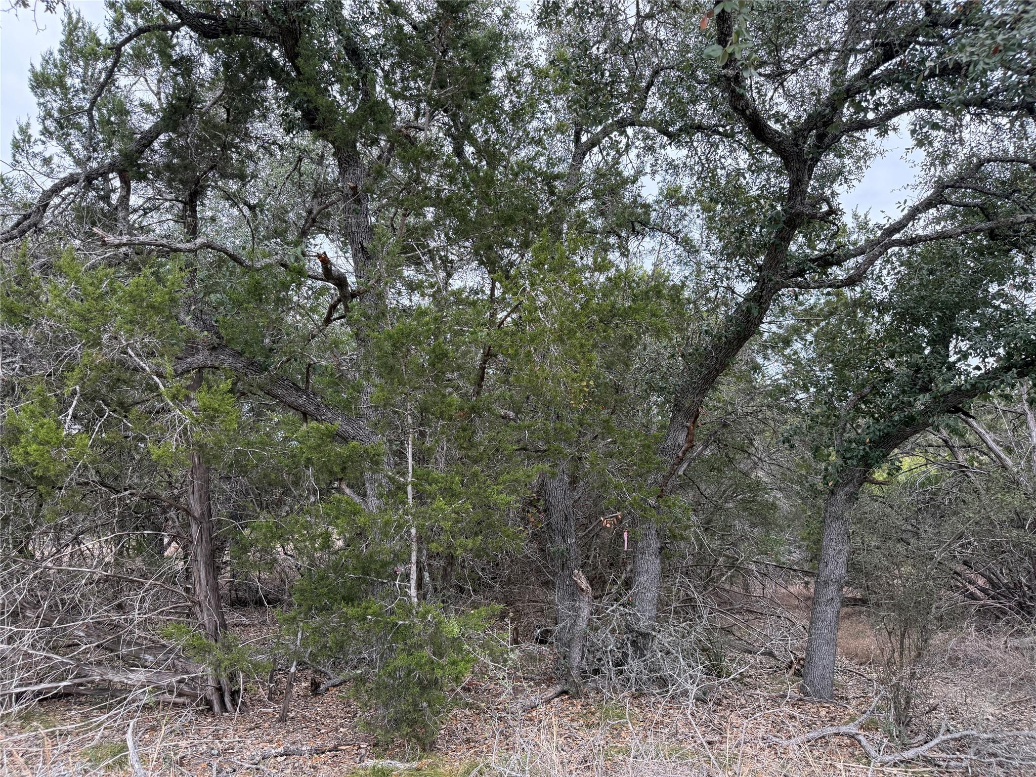 1656 Noble Trl, Canyon Lake, TX 78133