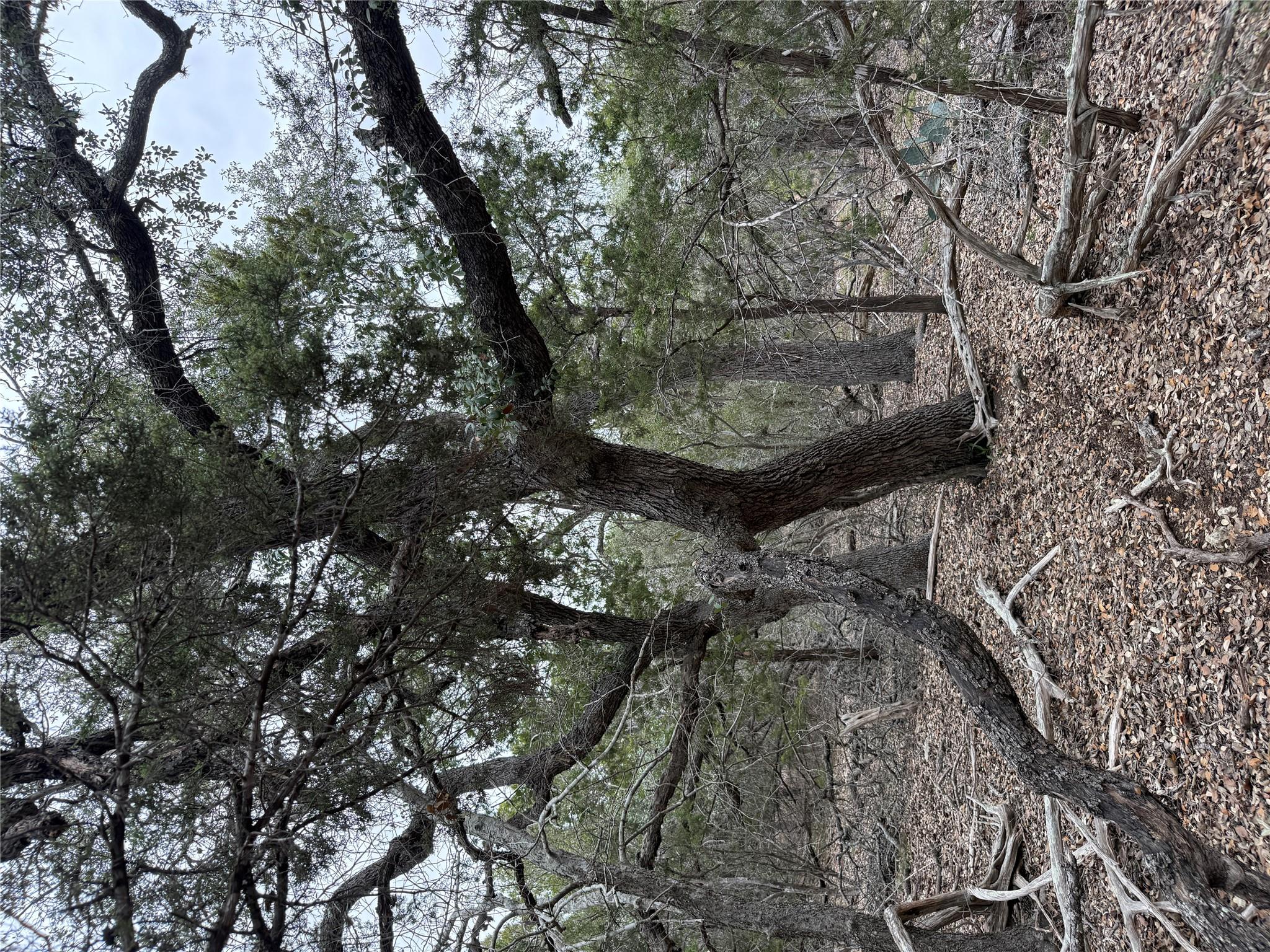 1656 Noble Trl, Canyon Lake, TX 78133