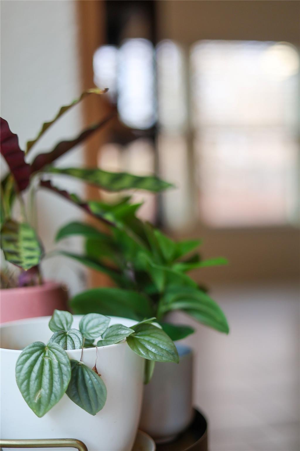 10024 Deer Chase Trl, Austin, TX 78747