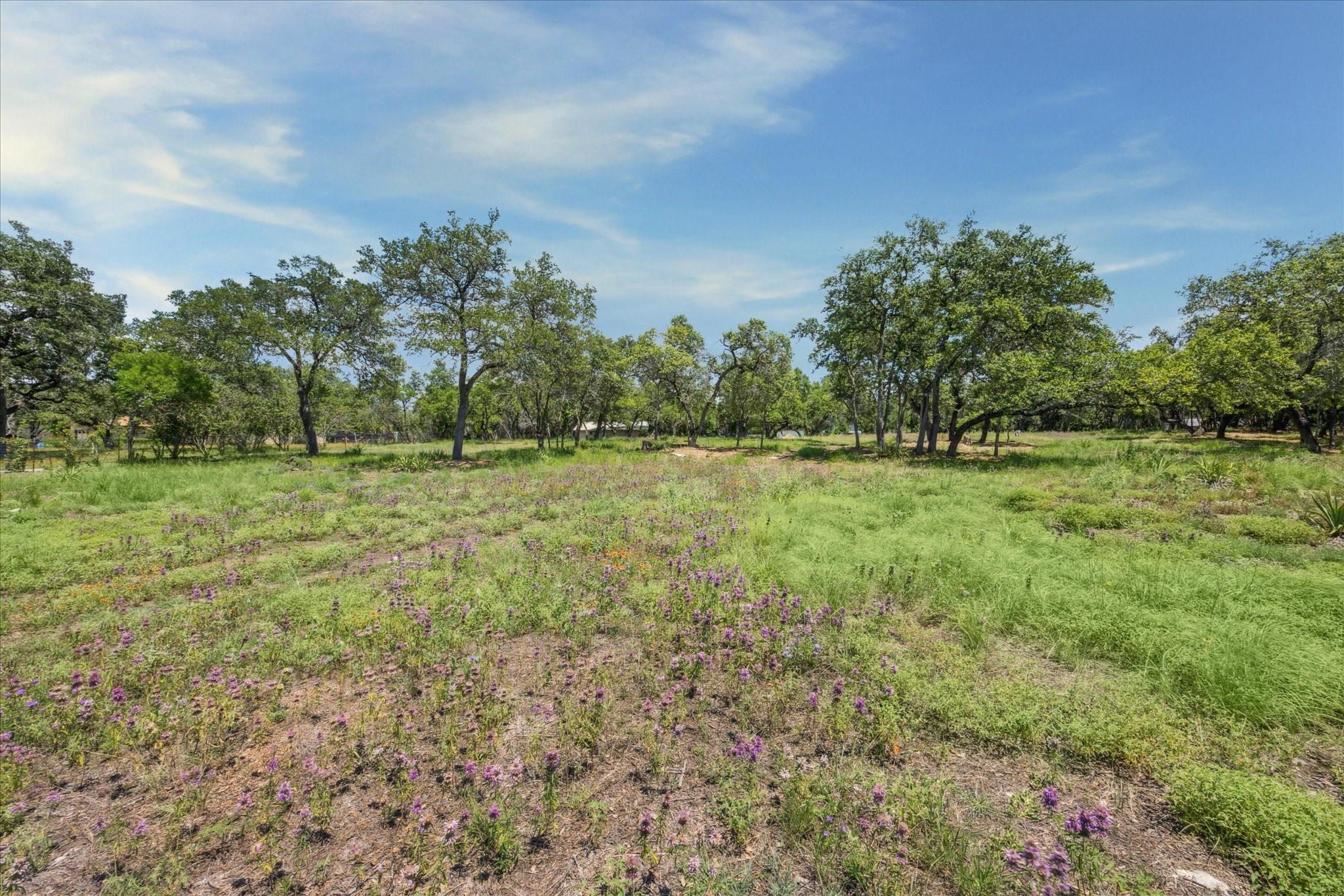 16043 Pool Canyon Rd, Austin, TX 78734