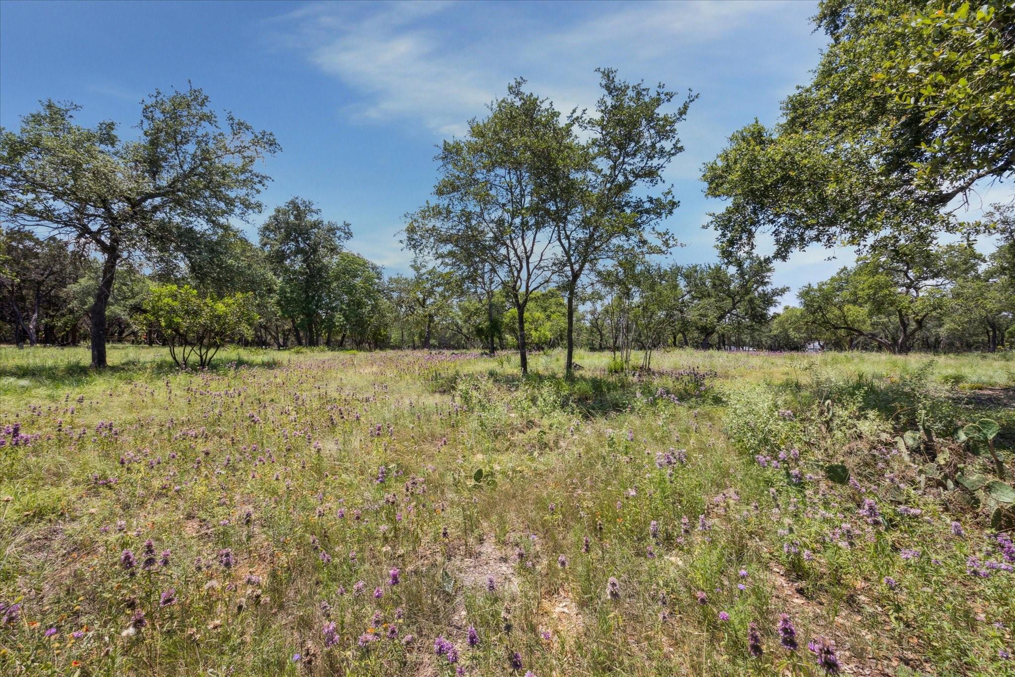 16043 Pool Canyon Rd, Austin, TX 78734