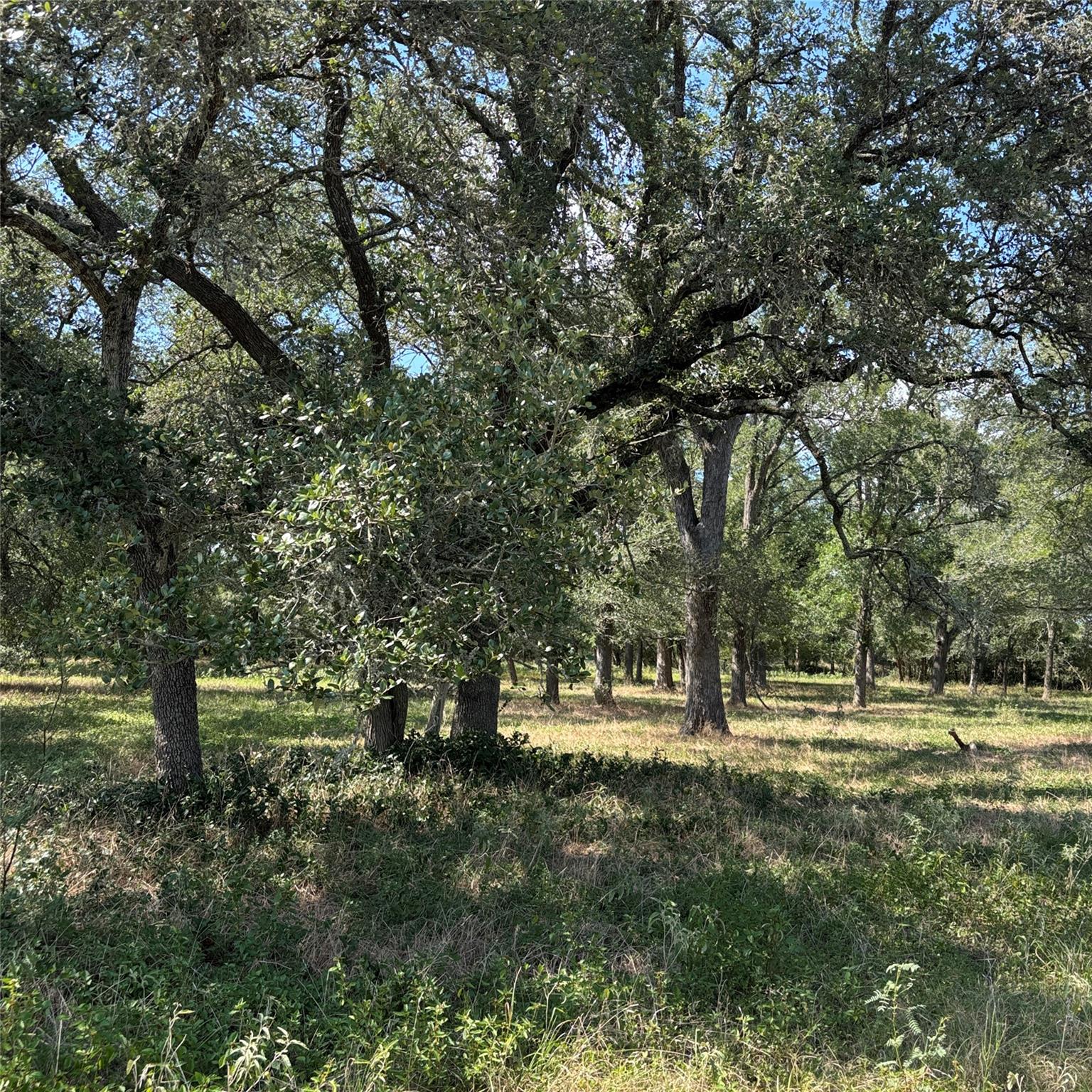 2477 State Highway 159, La Grange, TX 78945