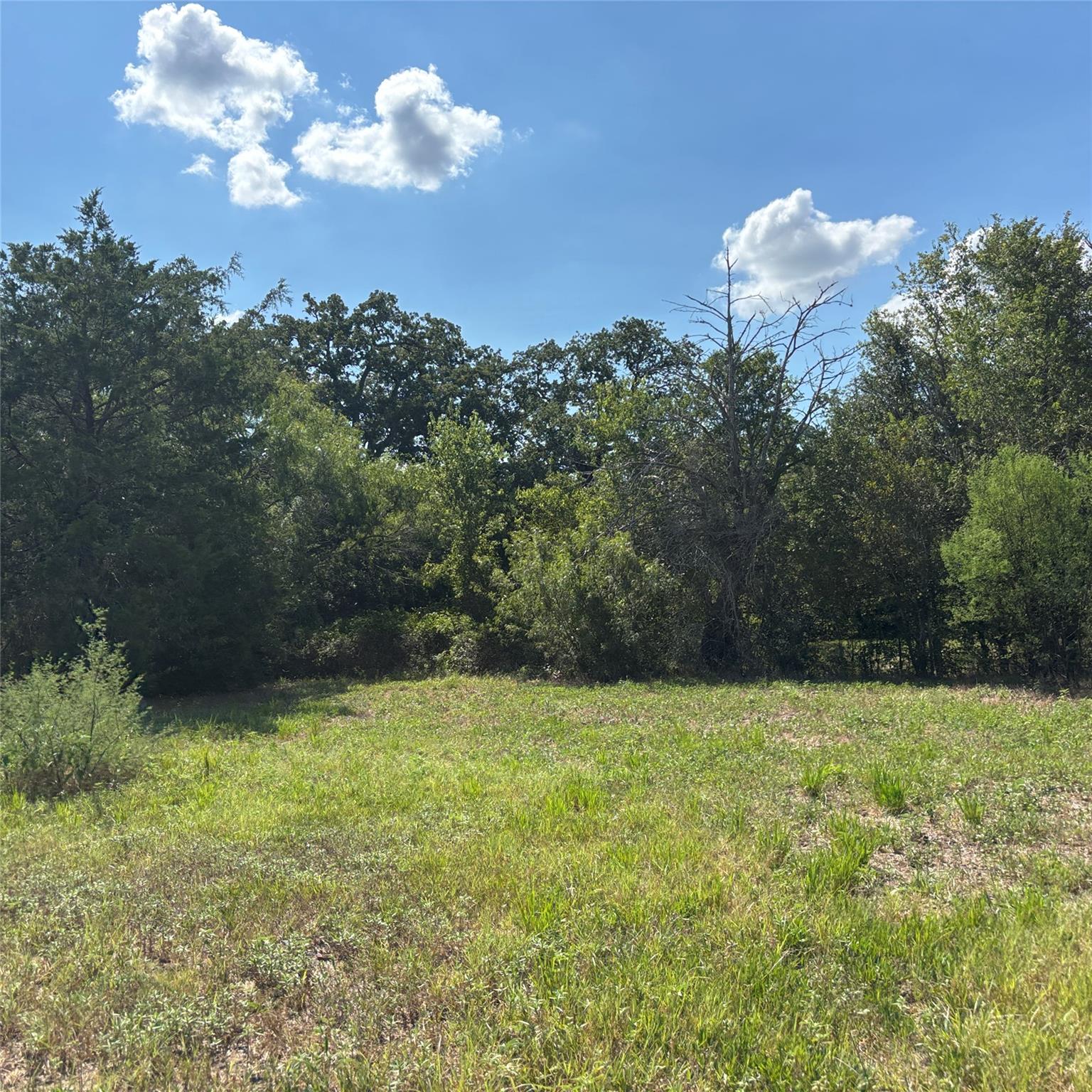 2477 State Highway 159, La Grange, TX 78945