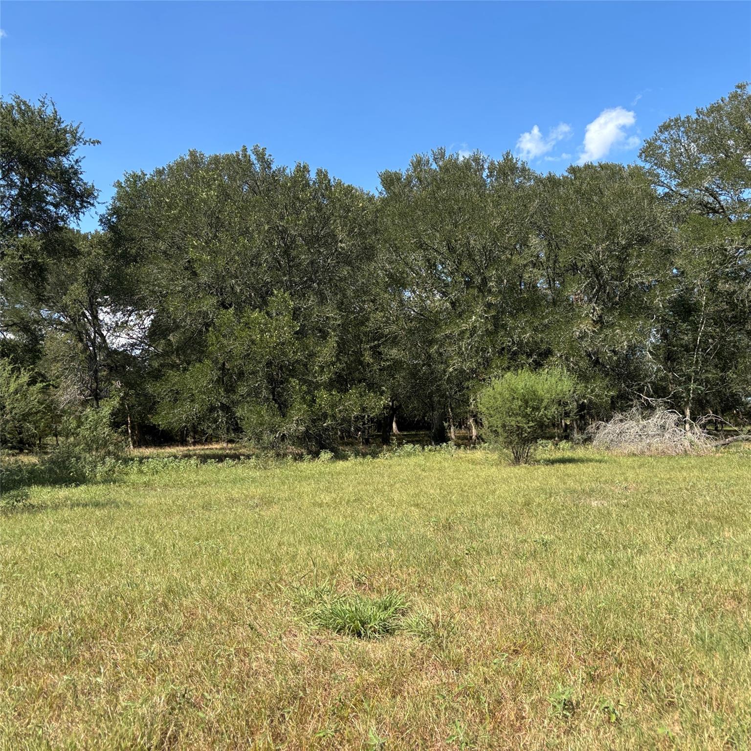 2477 State Highway 159, La Grange, TX 78945