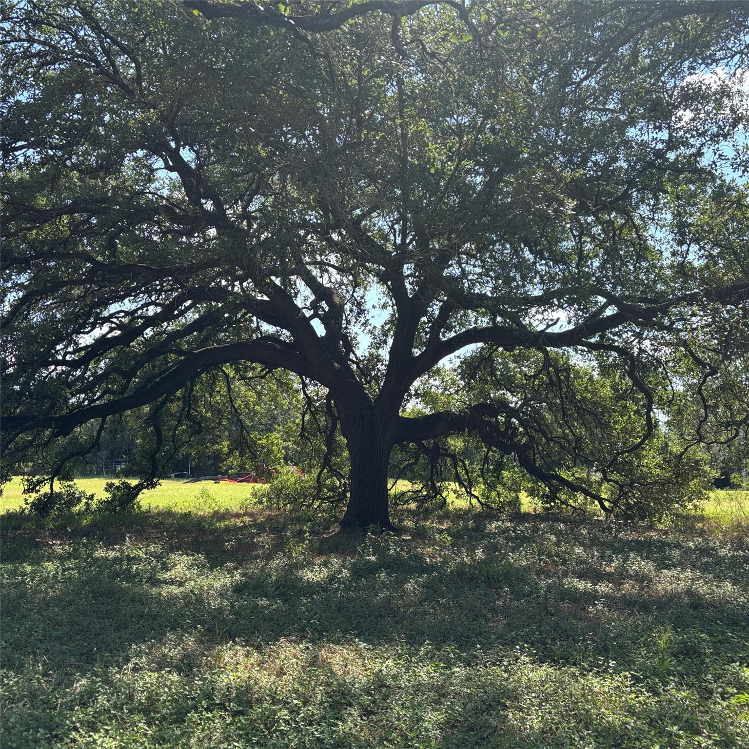 2477 State Highway 159, La Grange, TX 78945