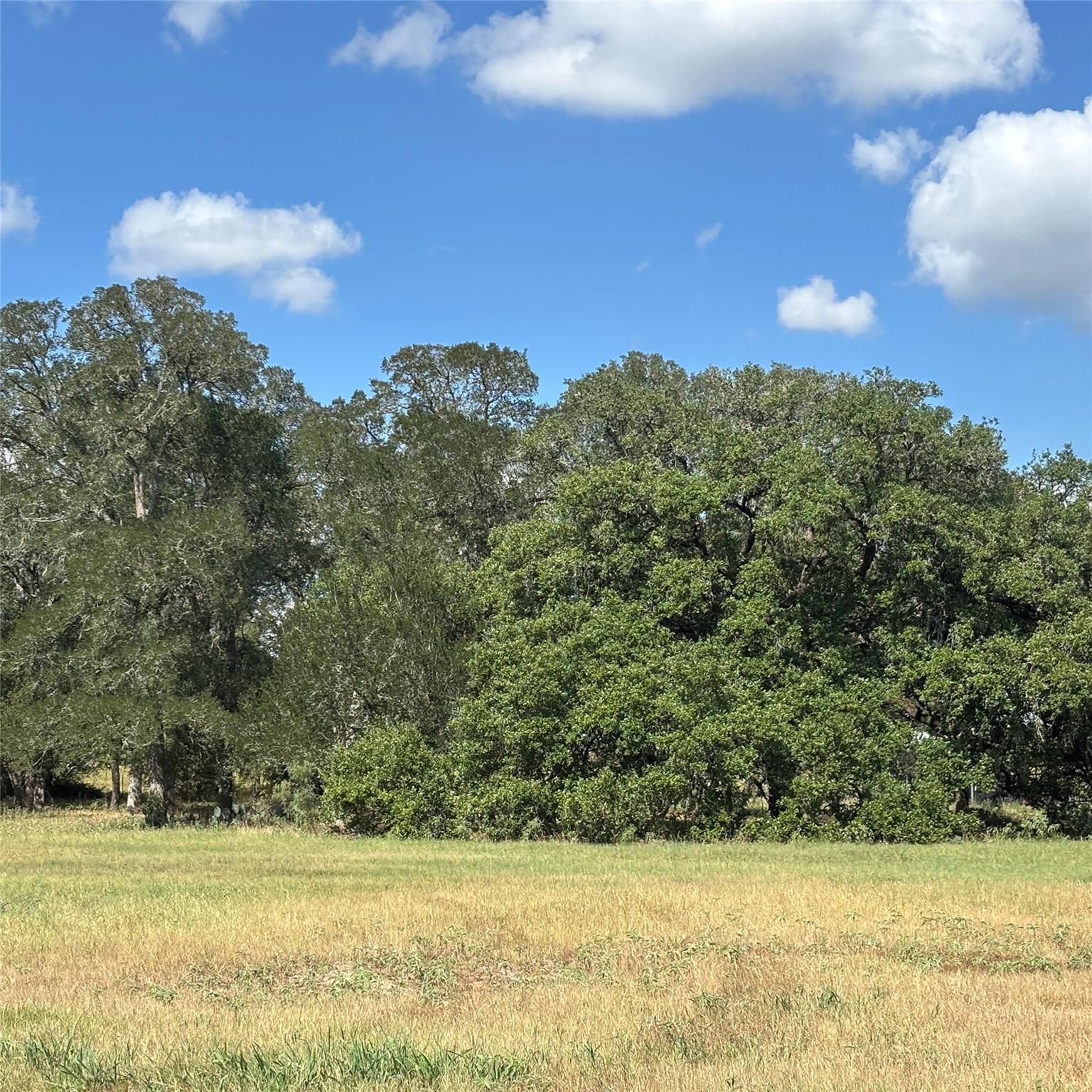 2477 State Highway 159, La Grange, TX 78945