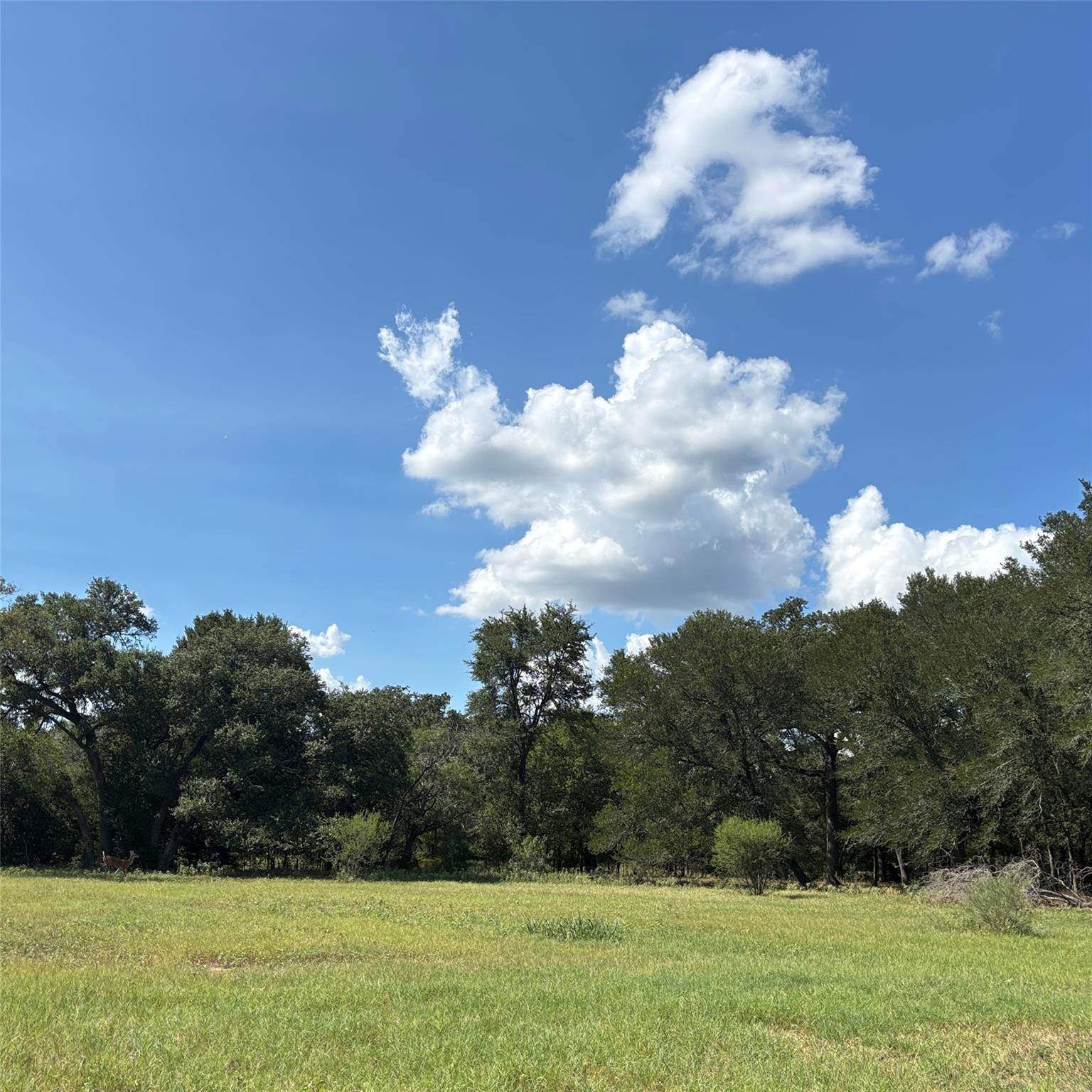 2477 State Highway 159, La Grange, TX 78945