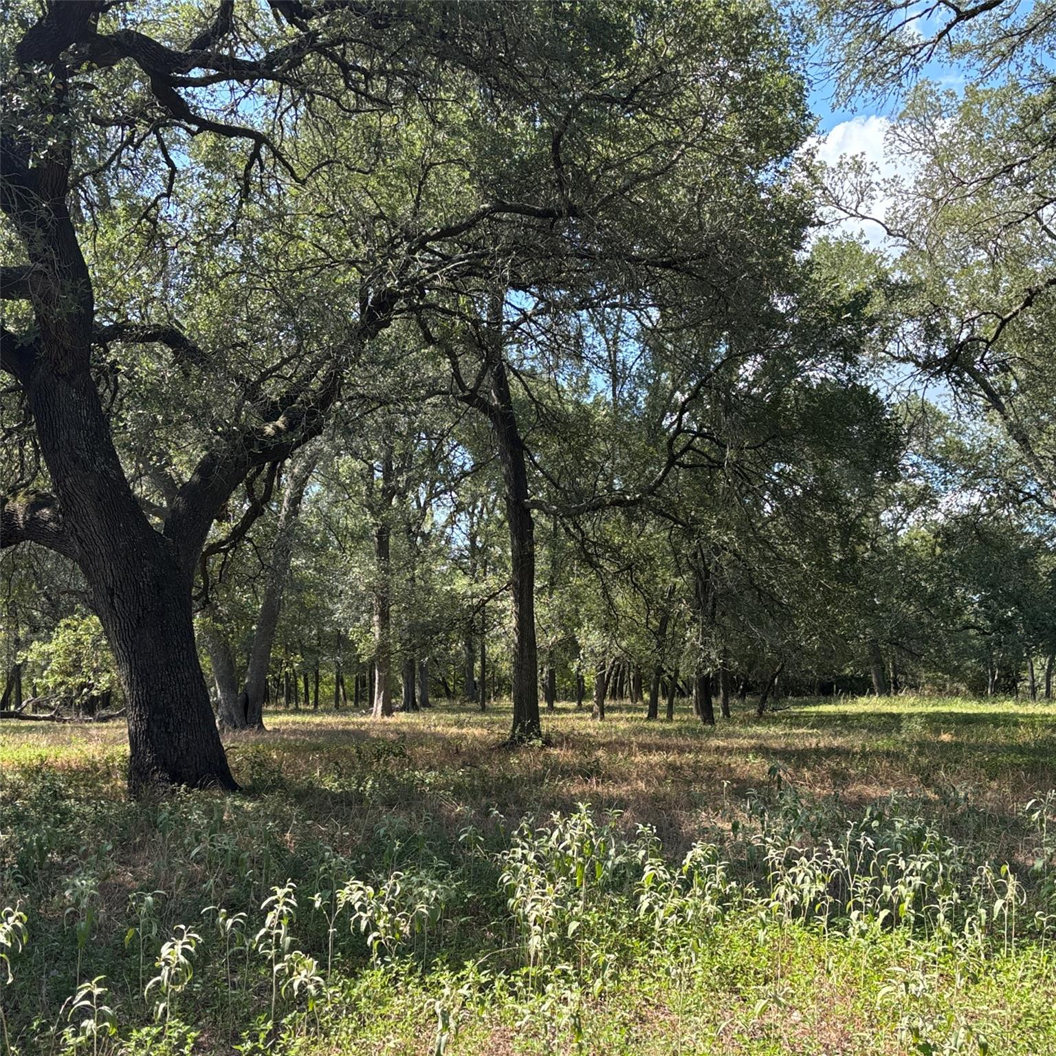 2477 State Highway 159, La Grange, TX 78945