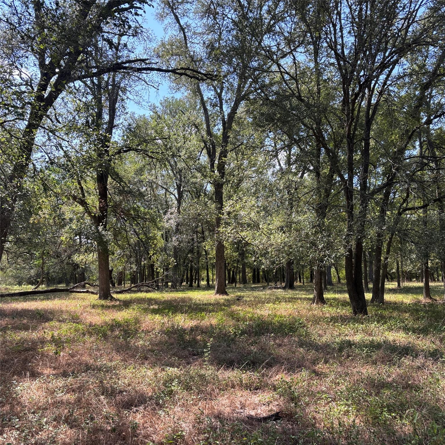 2477 State Highway 159, La Grange, TX 78945