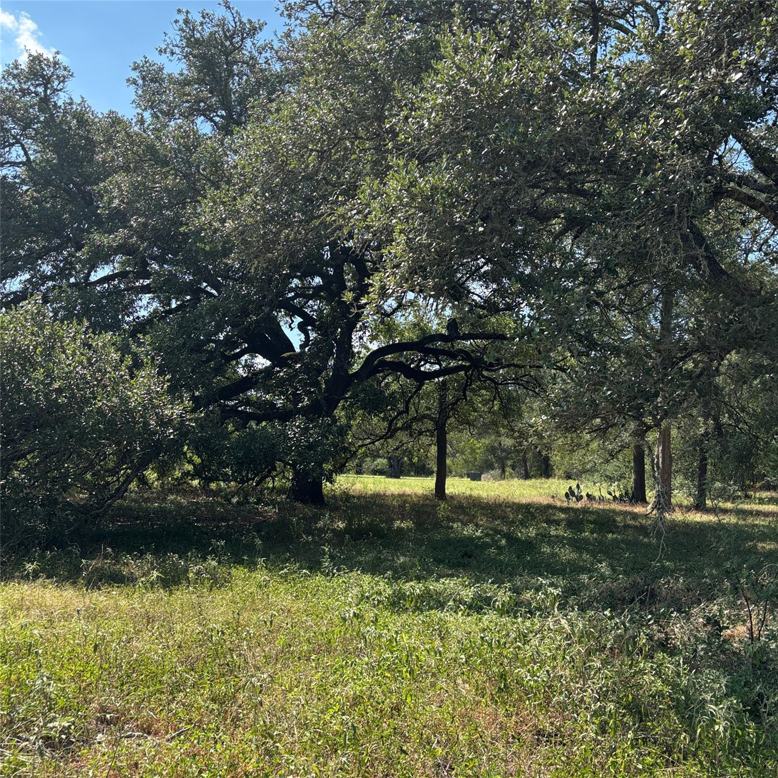 2477 State Highway 159, La Grange, TX 78945