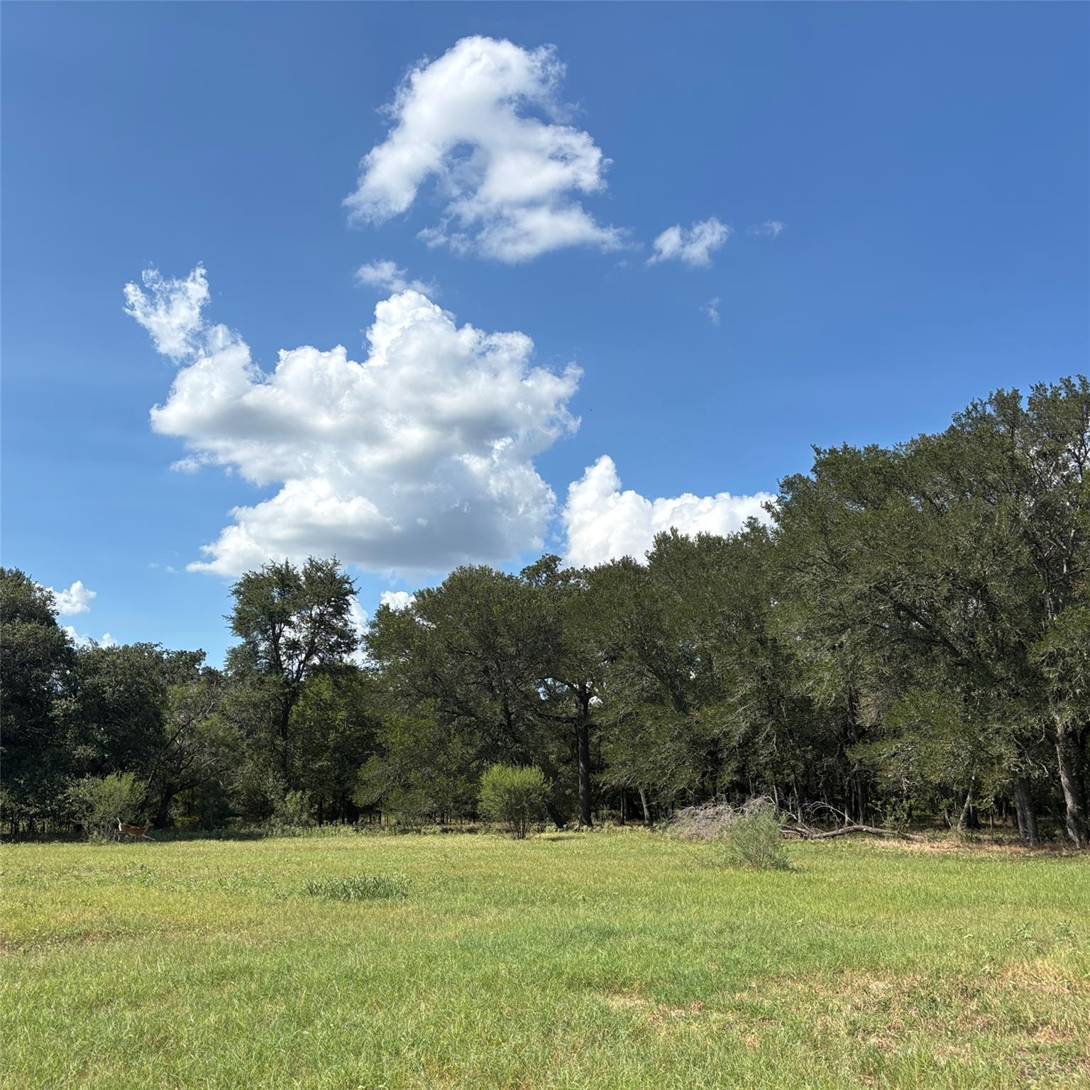 2477 State Highway 159, La Grange, TX 78945