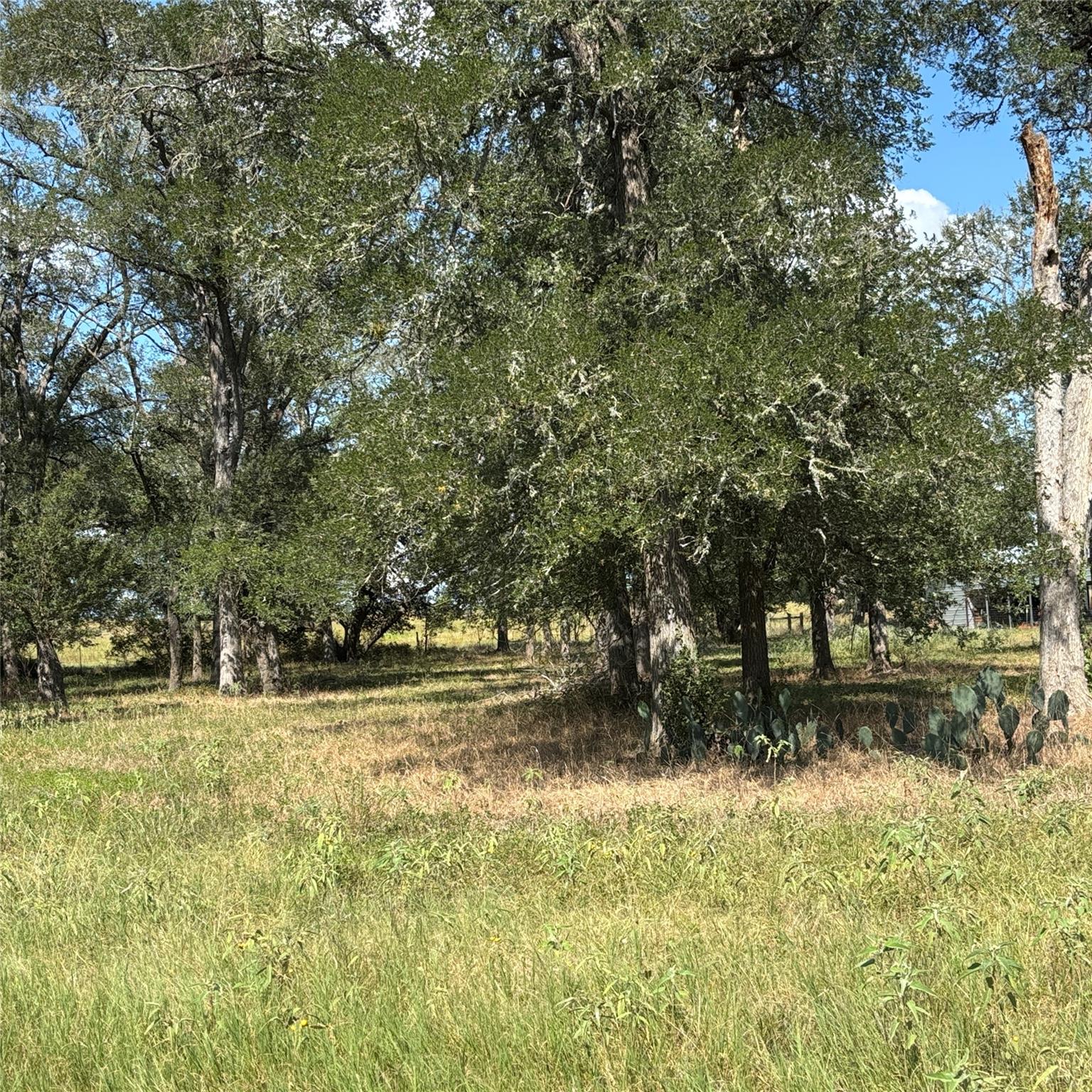 2477 State Highway 159, La Grange, TX 78945