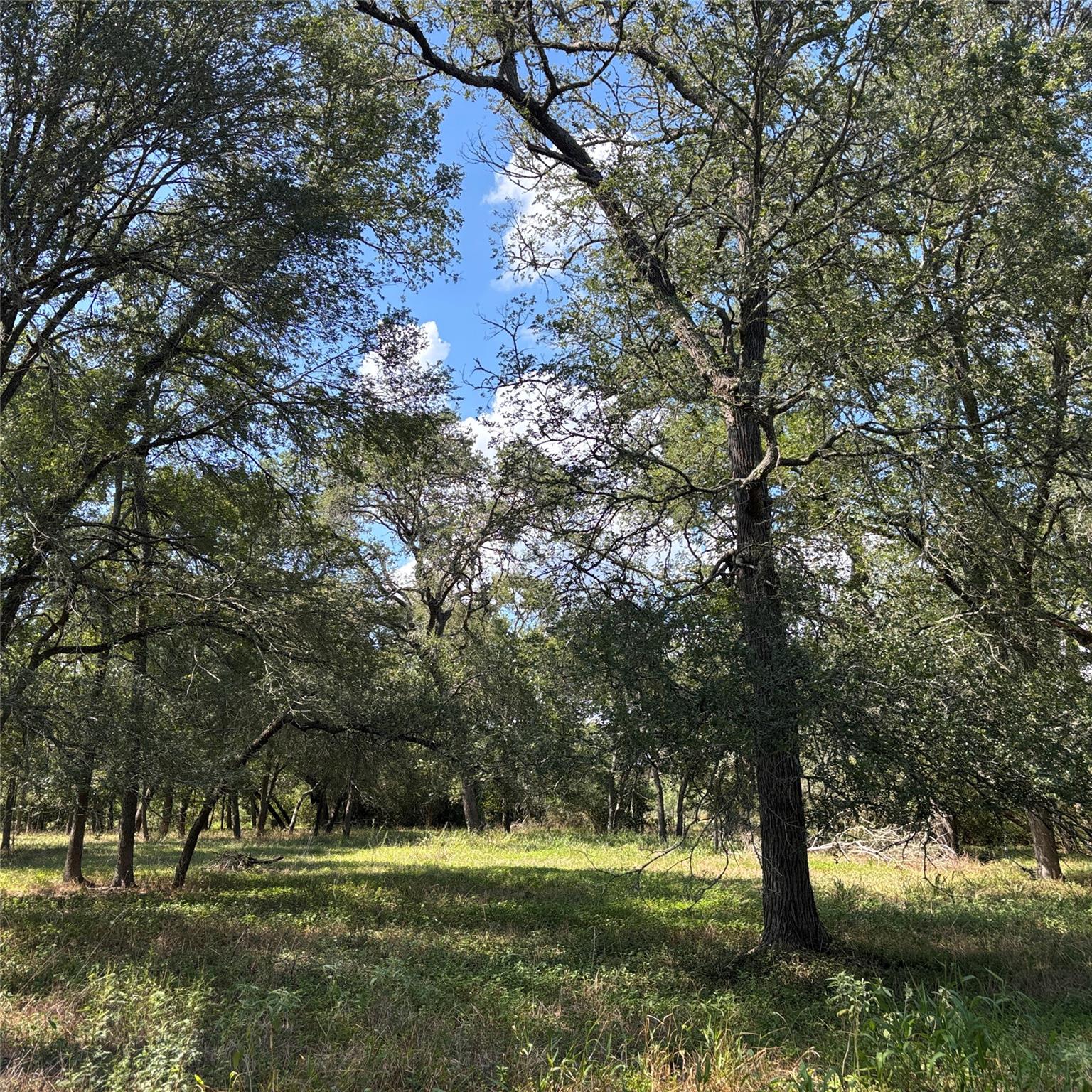 2477 State Highway 159, La Grange, TX 78945