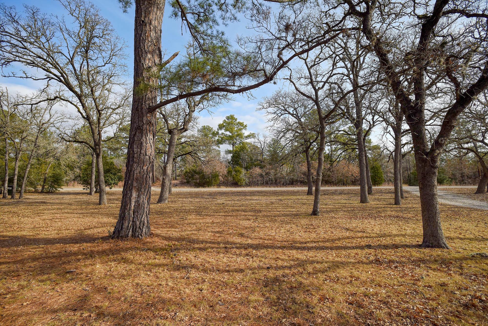 134 Short St, Bastrop, TX 78602