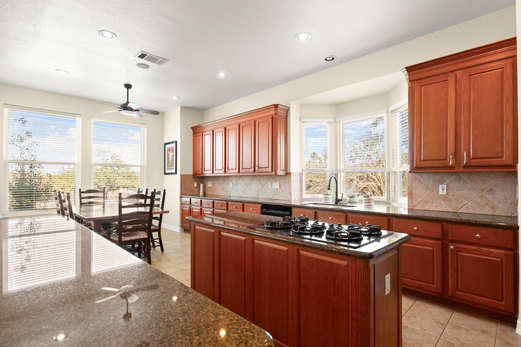 1543 Weiskopf Loop, Round Rock, TX 78664