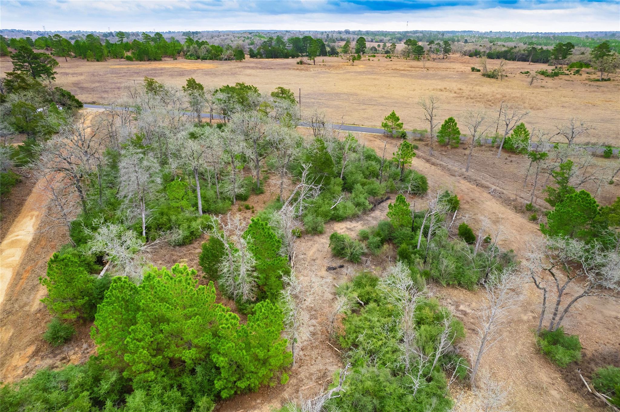 123 Abbey Ln, Smithville, TX 78957