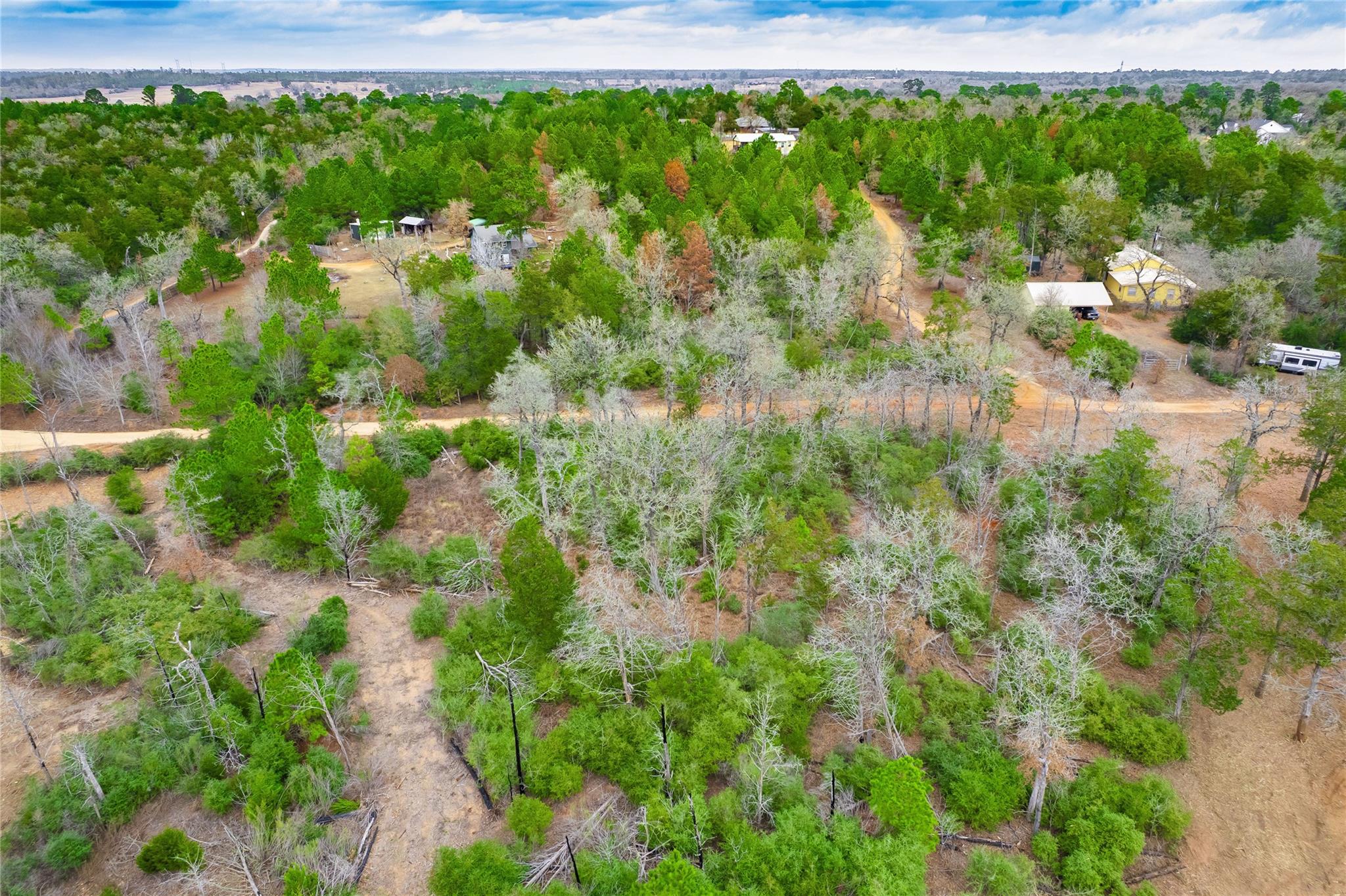 123 Abbey Ln, Smithville, TX 78957