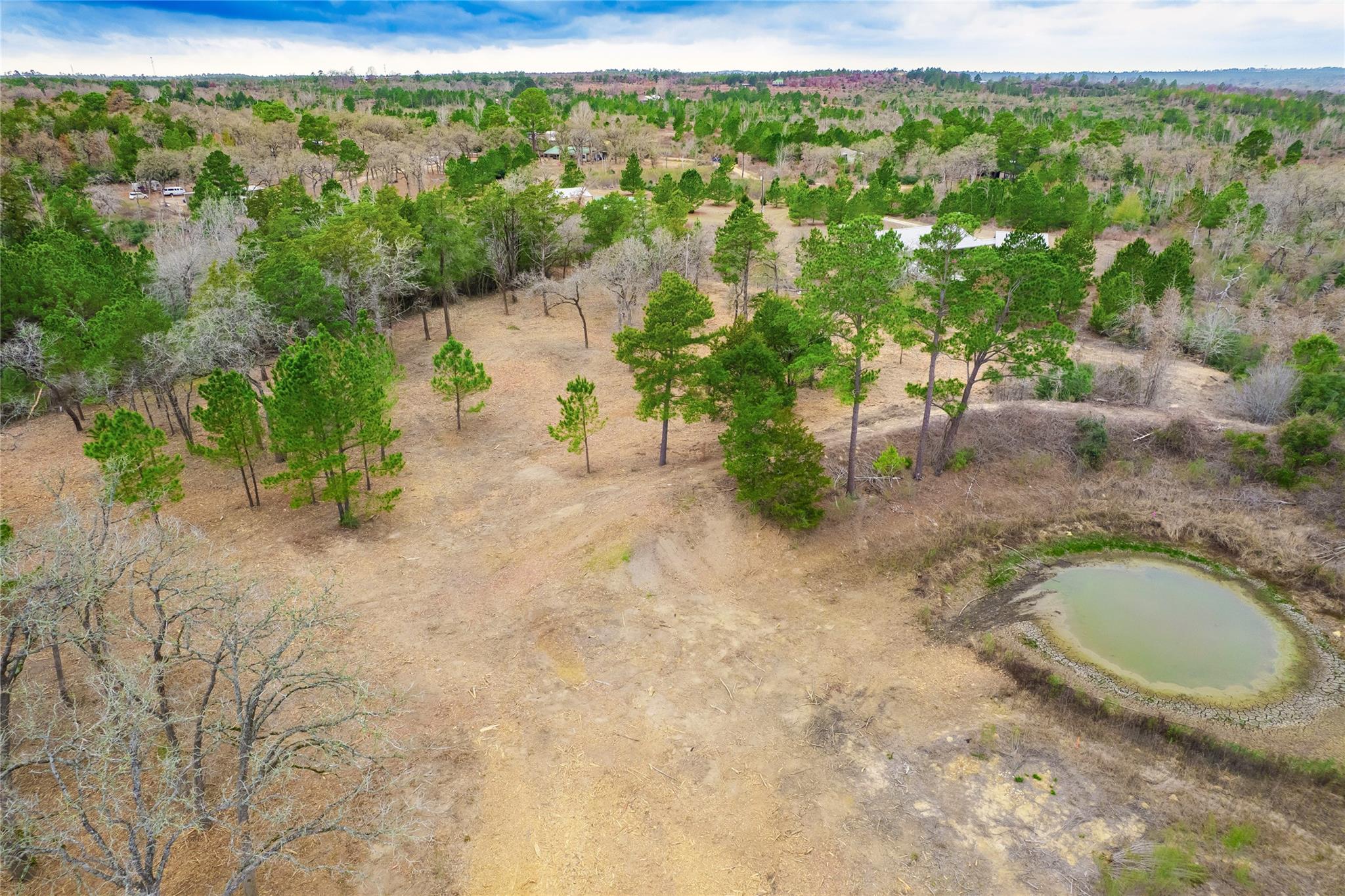123 Abbey Ln, Smithville, TX 78957