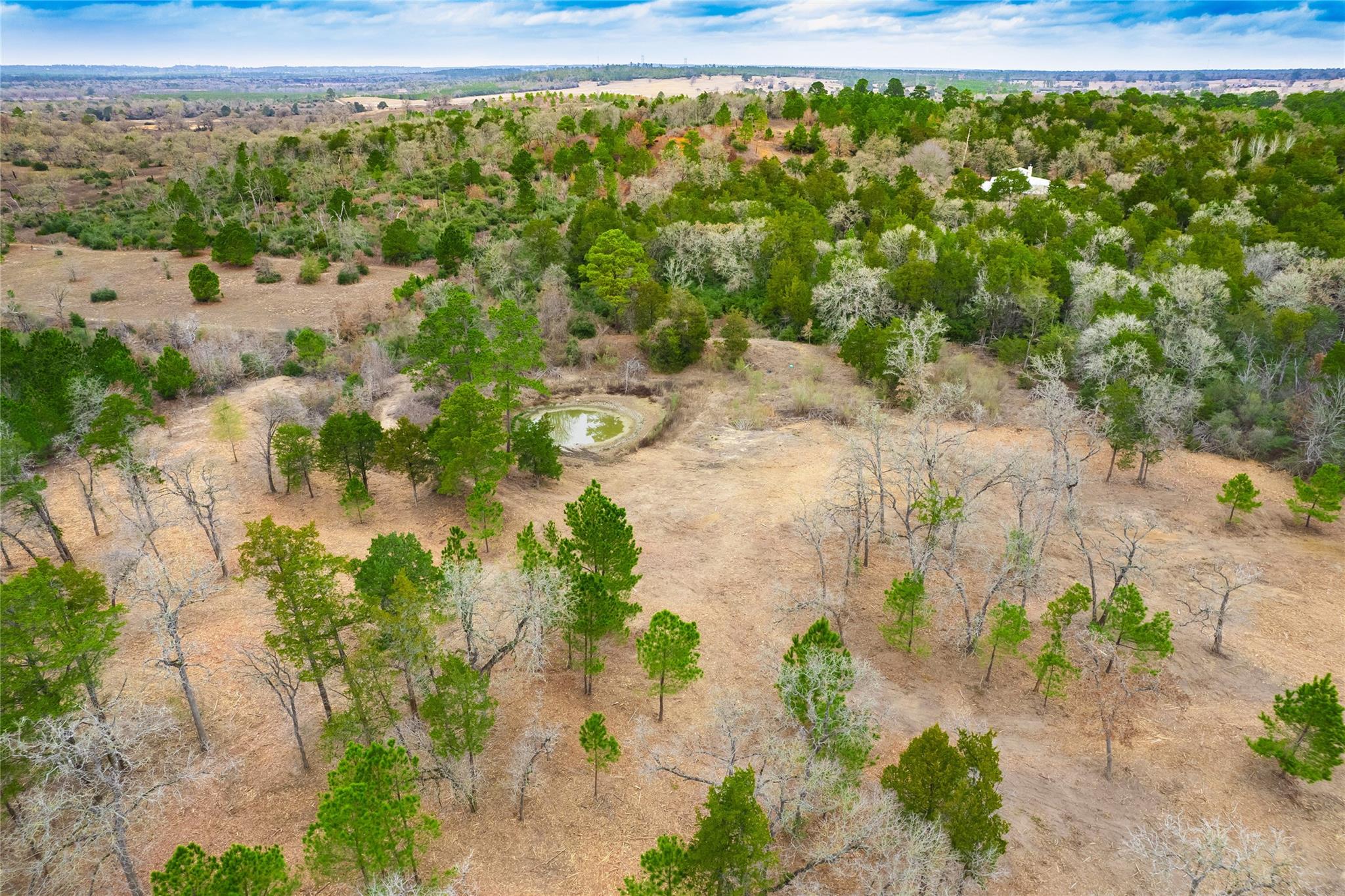 123 Abbey Ln, Smithville, TX 78957