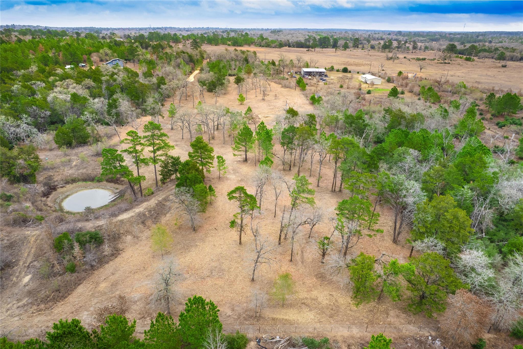 123 Abbey Ln, Smithville, TX 78957