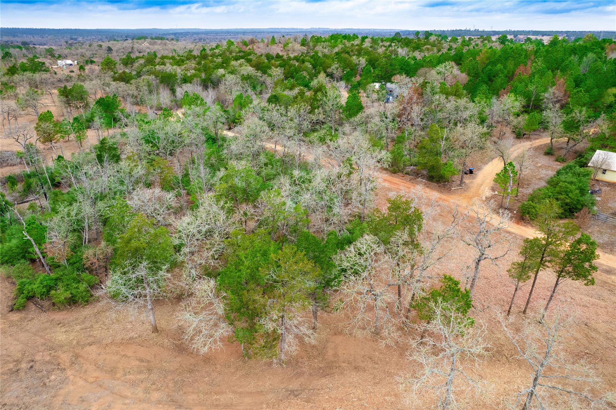 123 Abbey Ln, Smithville, TX 78957