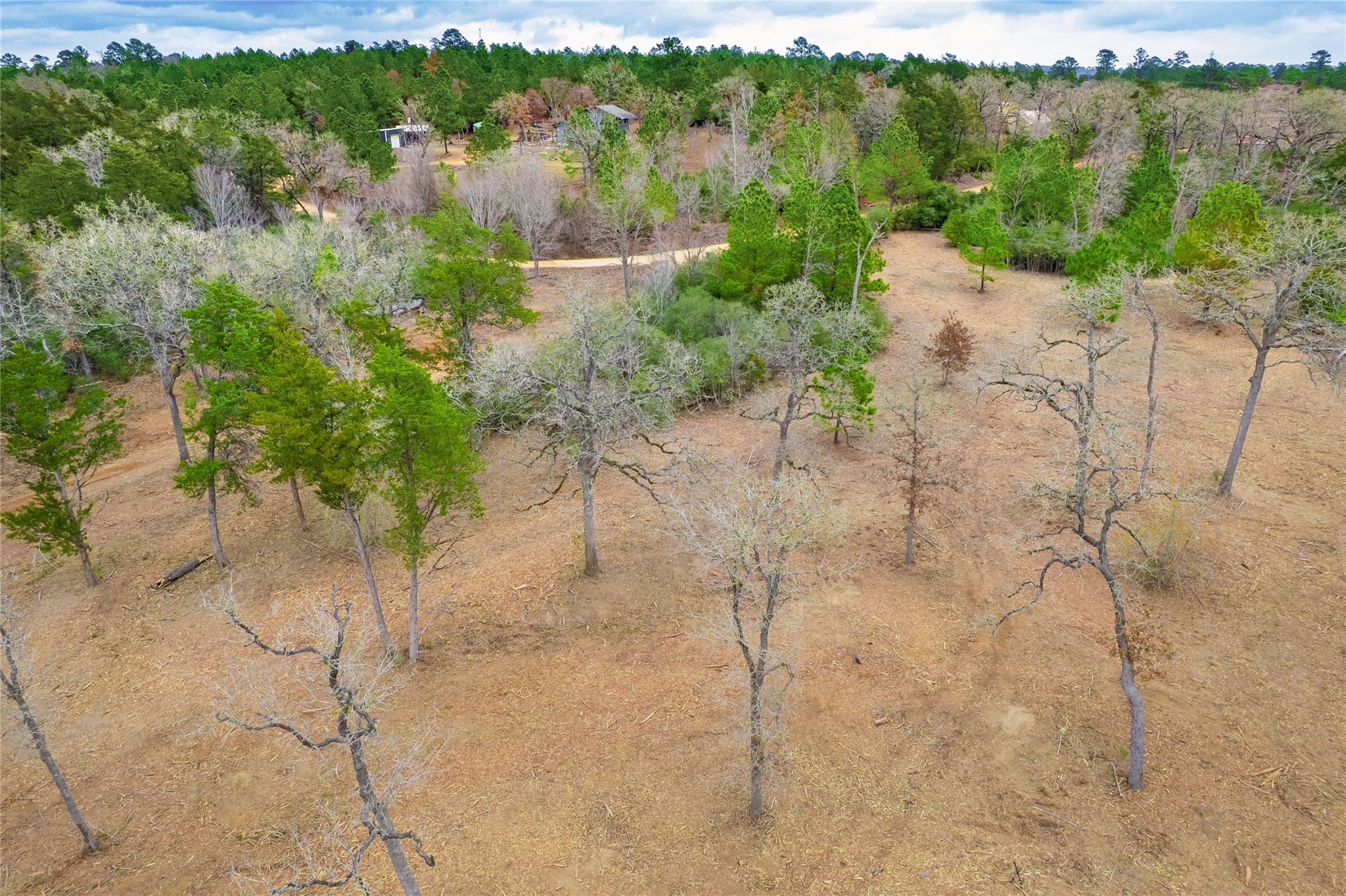 123 Abbey Ln, Smithville, TX 78957