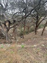 3705 High Line Dr, Lago Vista, TX 78645