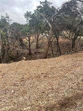 3705 High Line Dr, Lago Vista, TX 78645