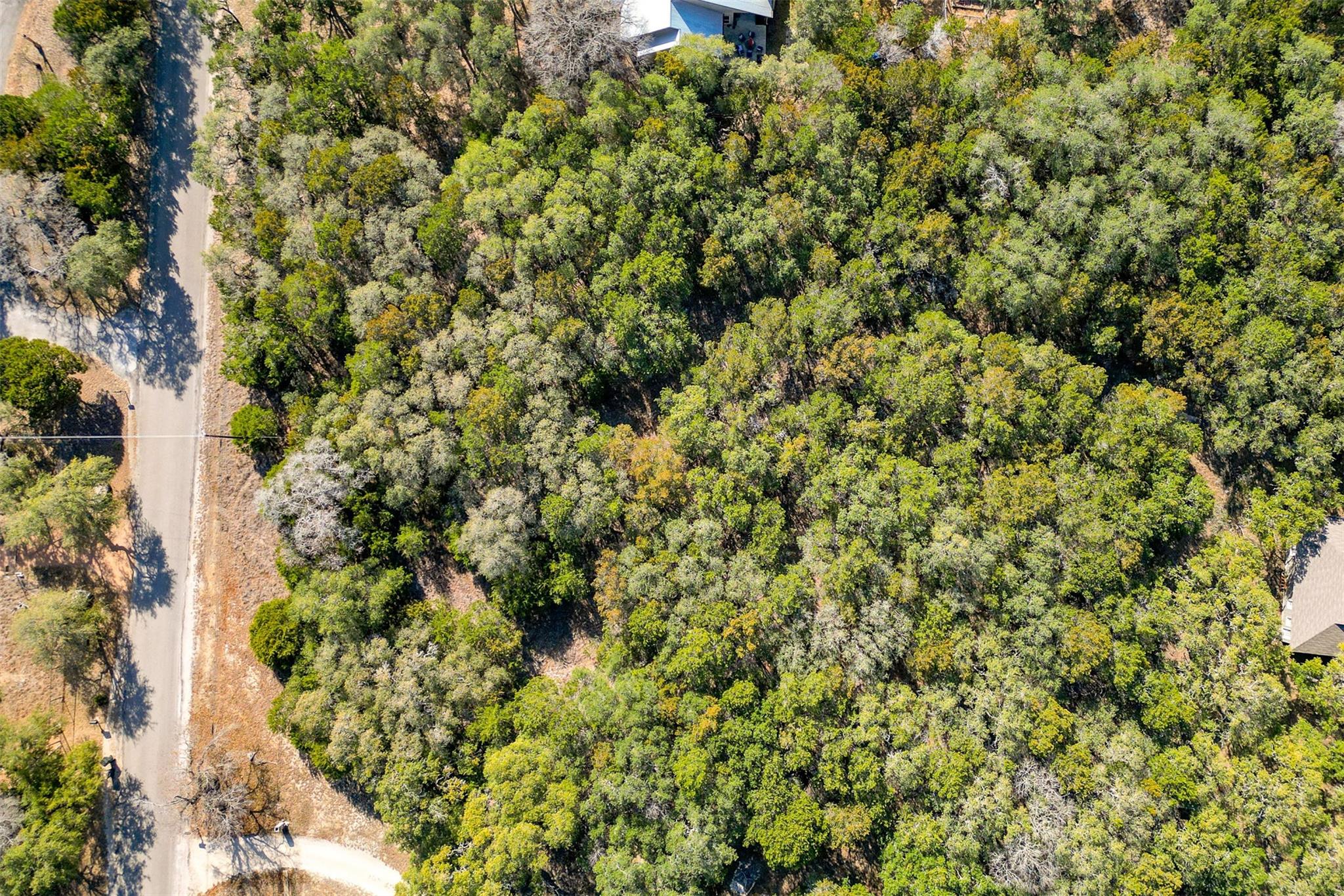 lot 59 Ridge Oak Dr, Wimberley, TX 78676