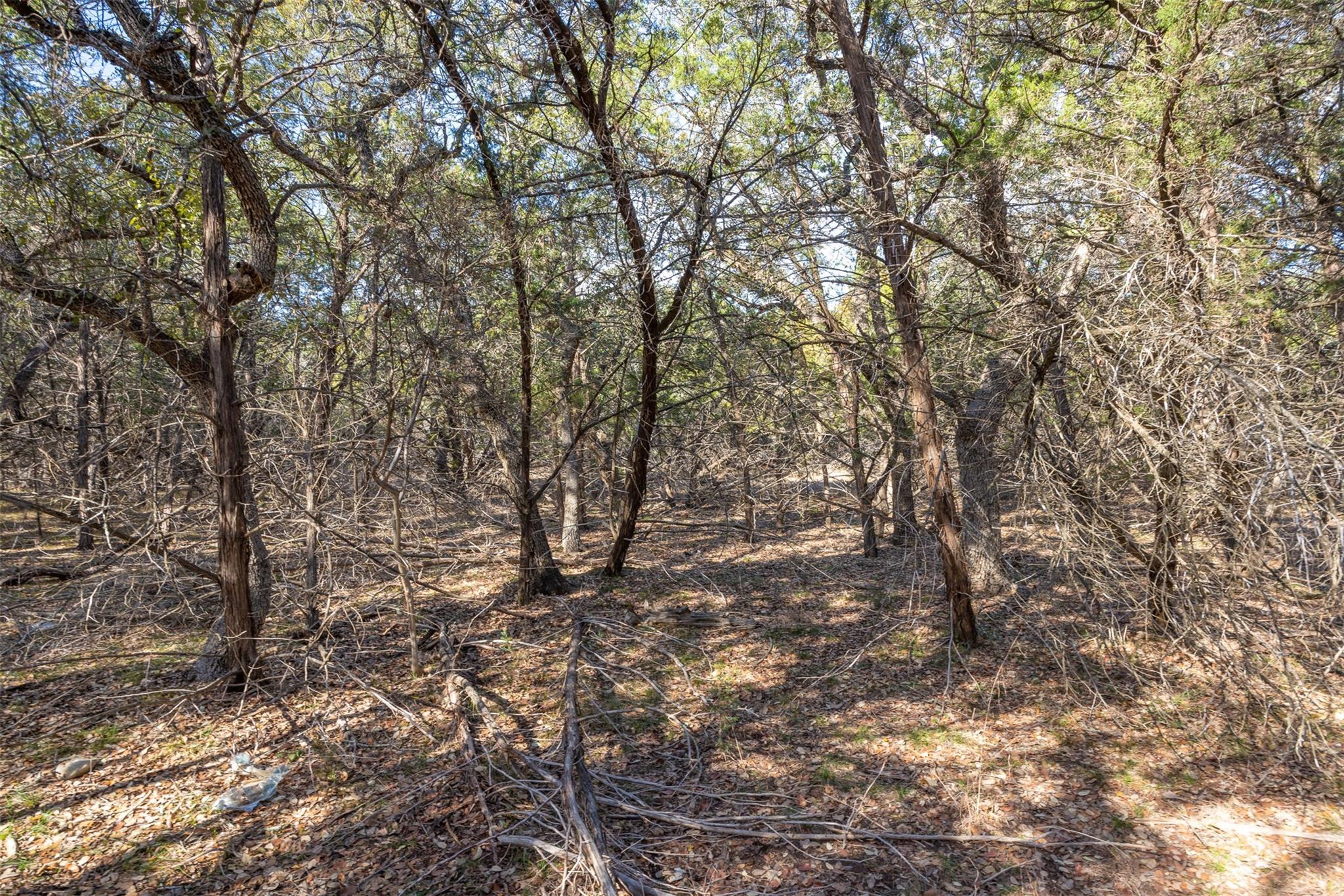 lot 59 Ridge Oak Dr, Wimberley, TX 78676