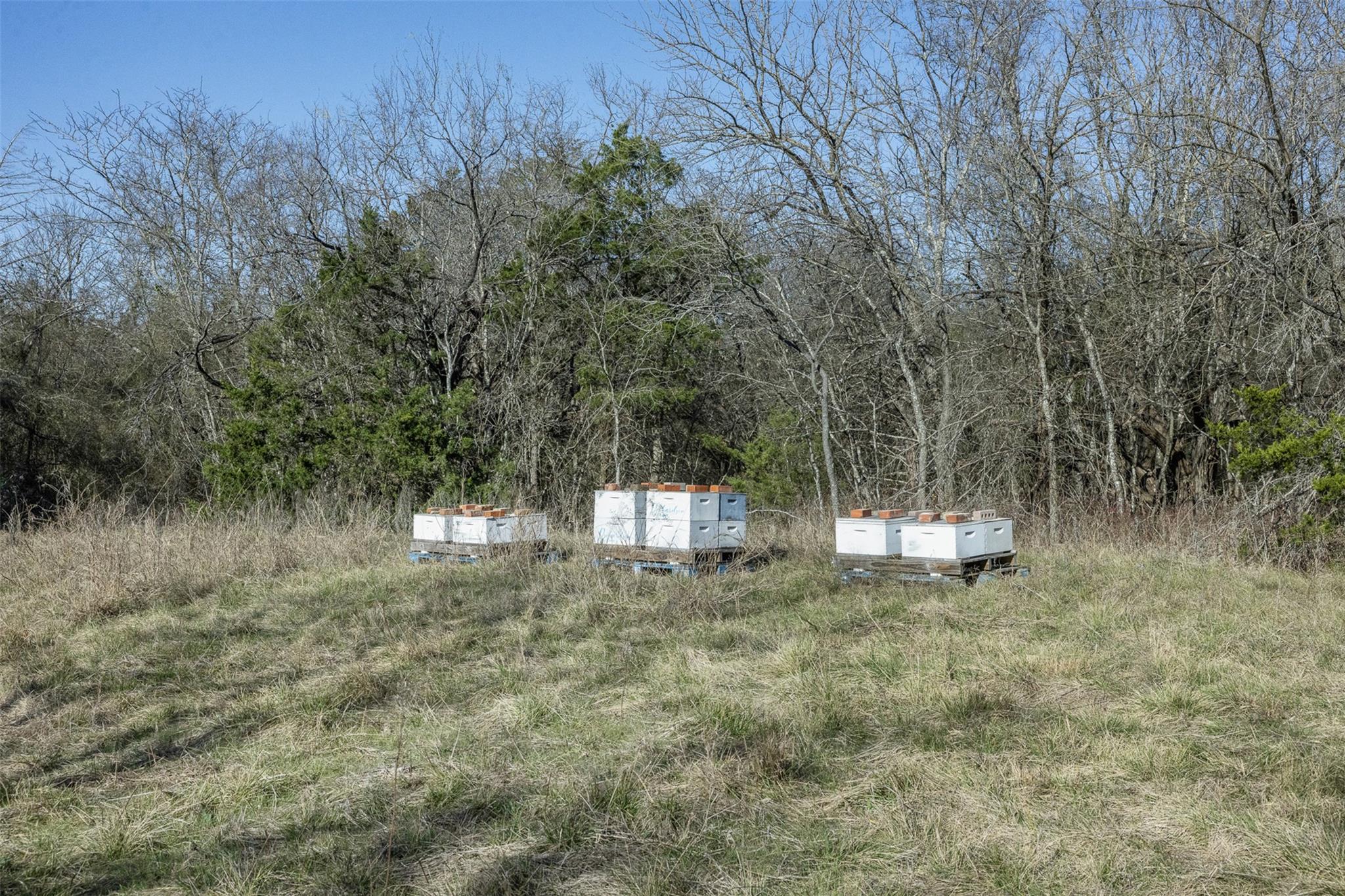 Tract 3 County Road 386, Groesbeck, TX 76642