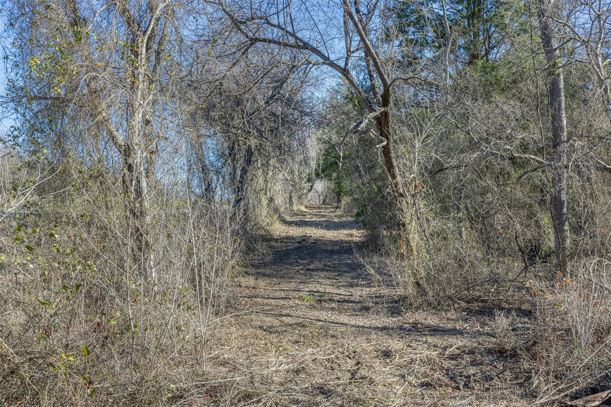 Tract 3 County Road 386, Groesbeck, TX 76642