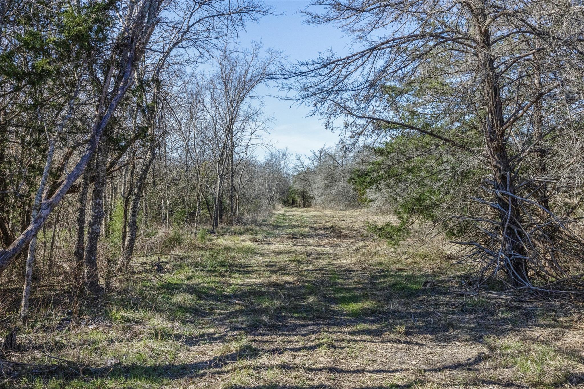 Tract 3 County Road 386, Groesbeck, TX 76642