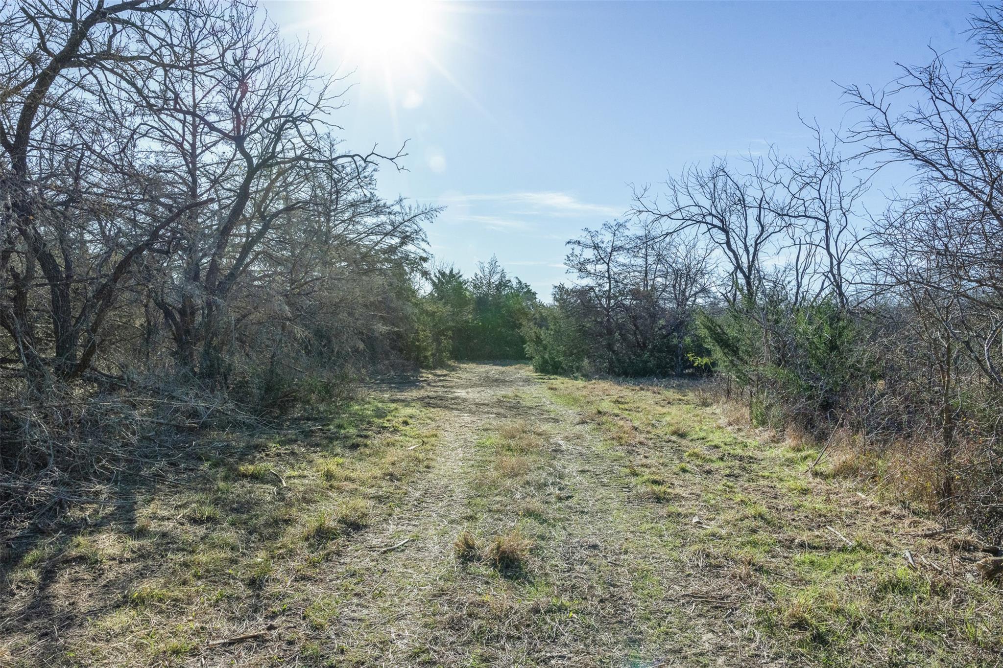 Tract 4 County Road 386, Groesbeck, TX 76642