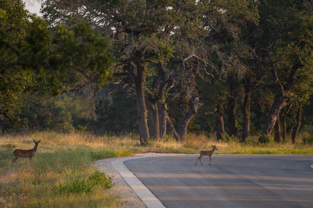 Lot 103 Tuscany Dr, Driftwood, TX 78619