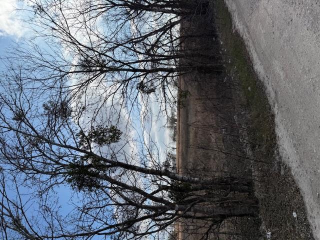 15209 Jacobson Rd, Del Valle, TX 78617