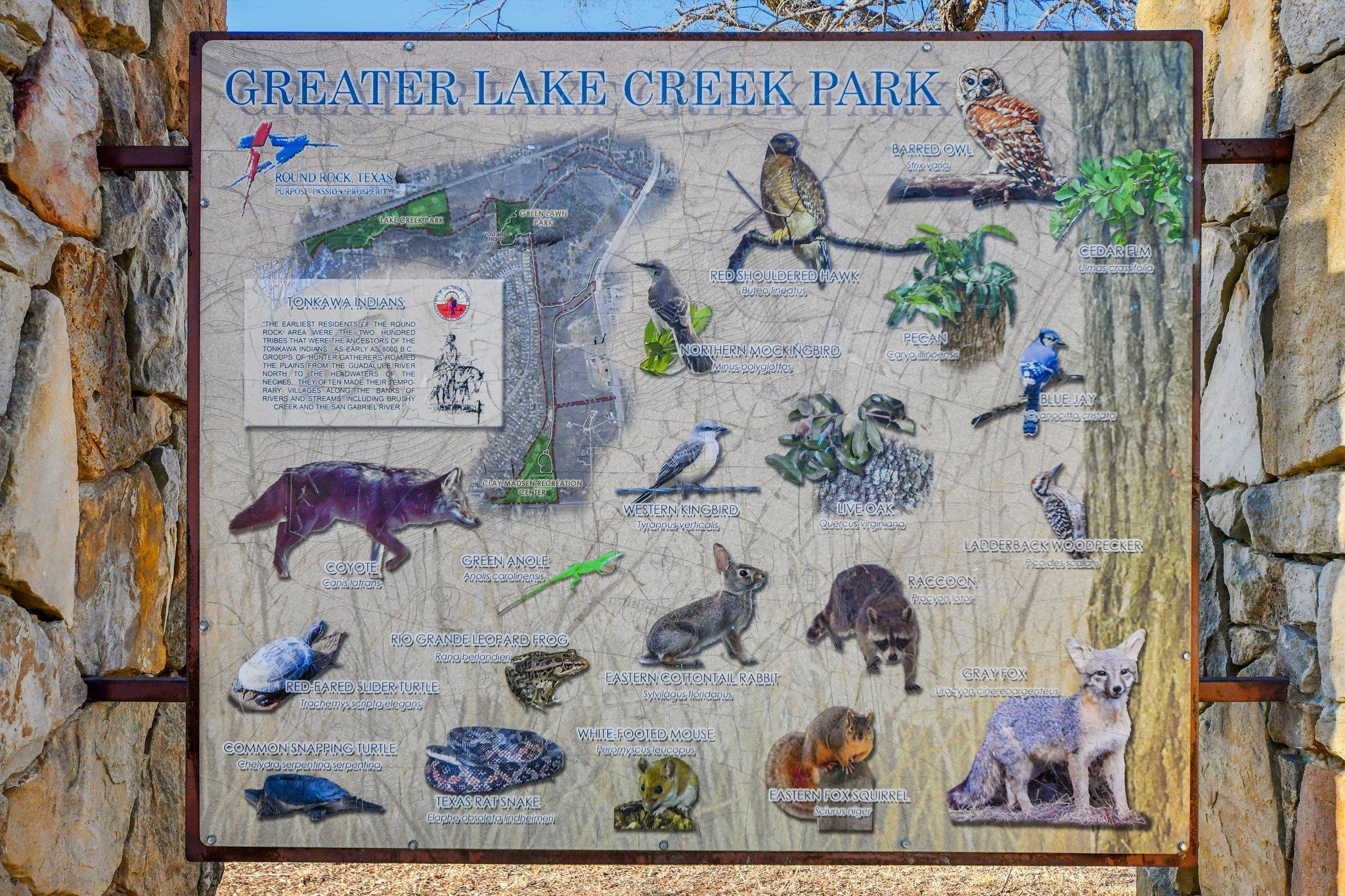 616 Lookout Tree Ln, Round Rock, TX 78664