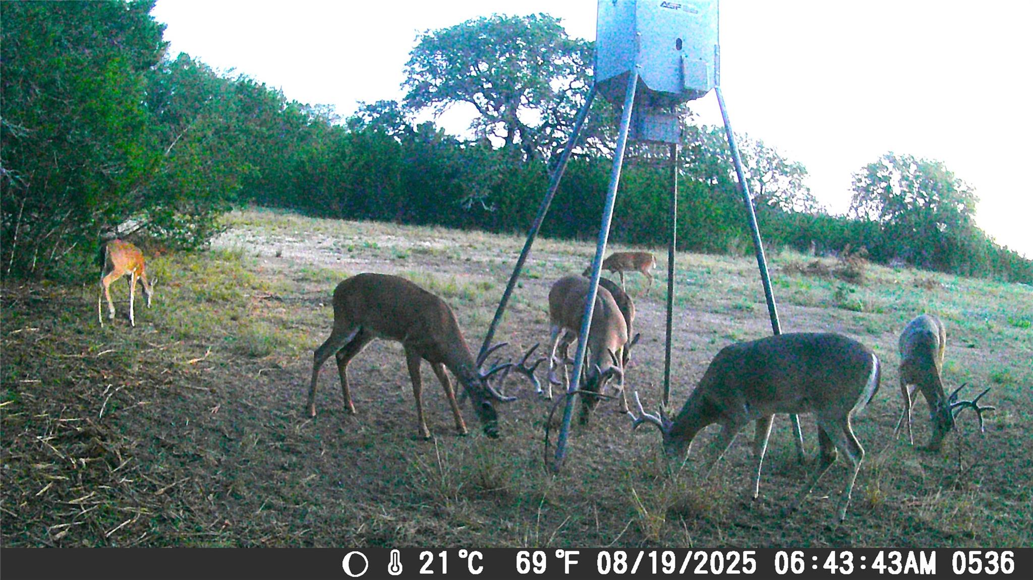 TBD CR 206, Burnet, TX 78611