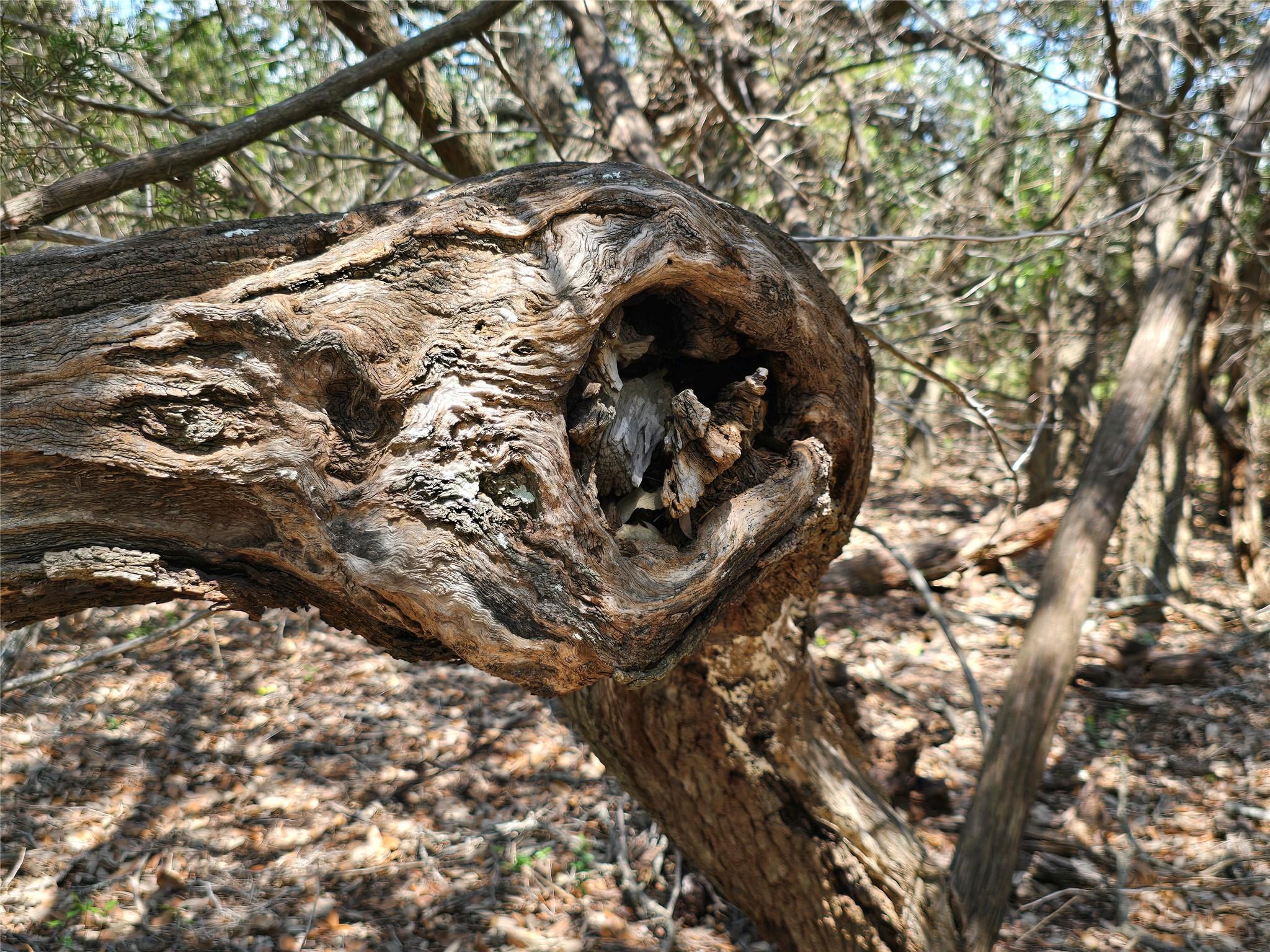 TBD CR 206, Burnet, TX 78611