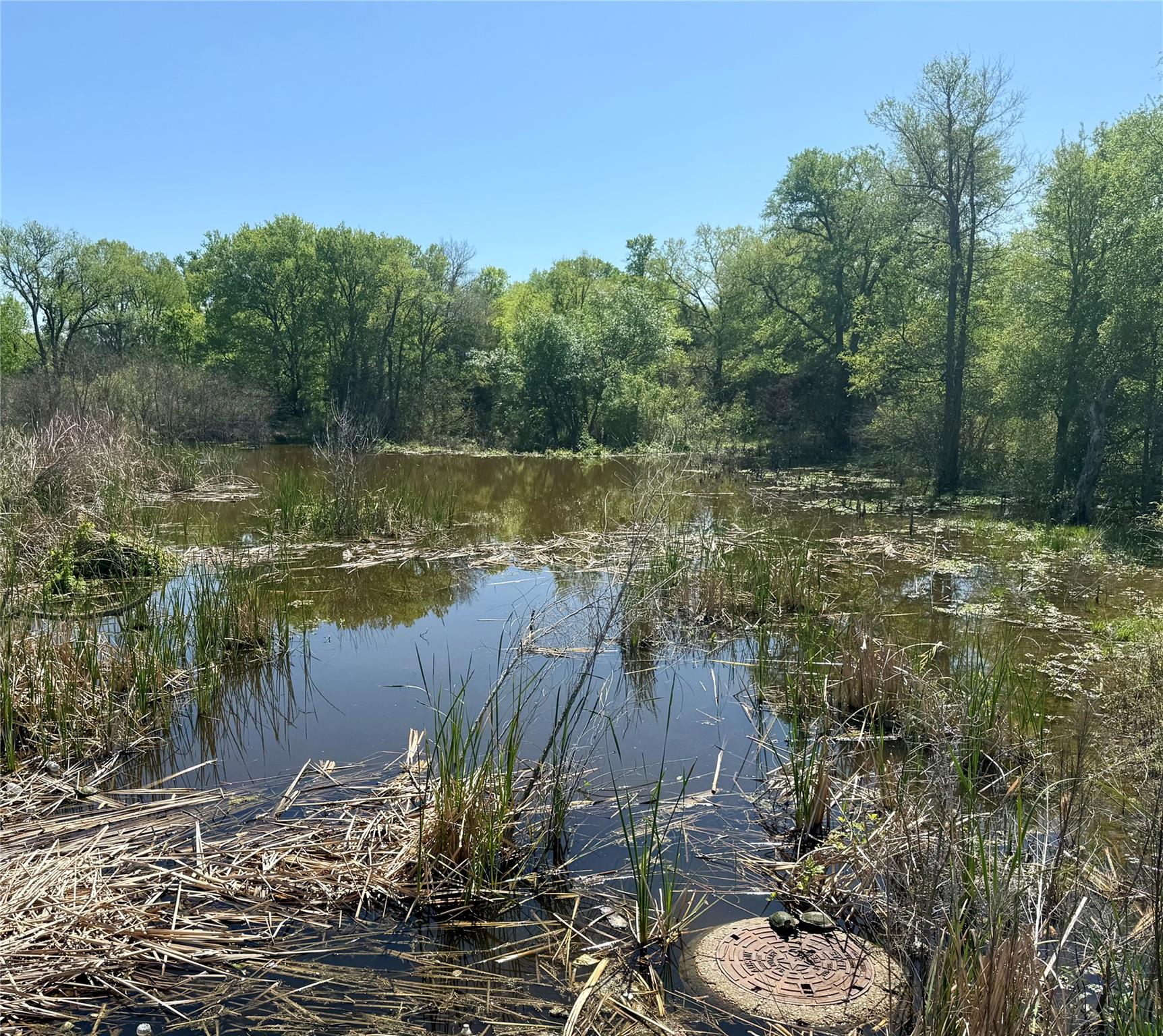 5700 Glowing Star Trl, Austin, TX 78724