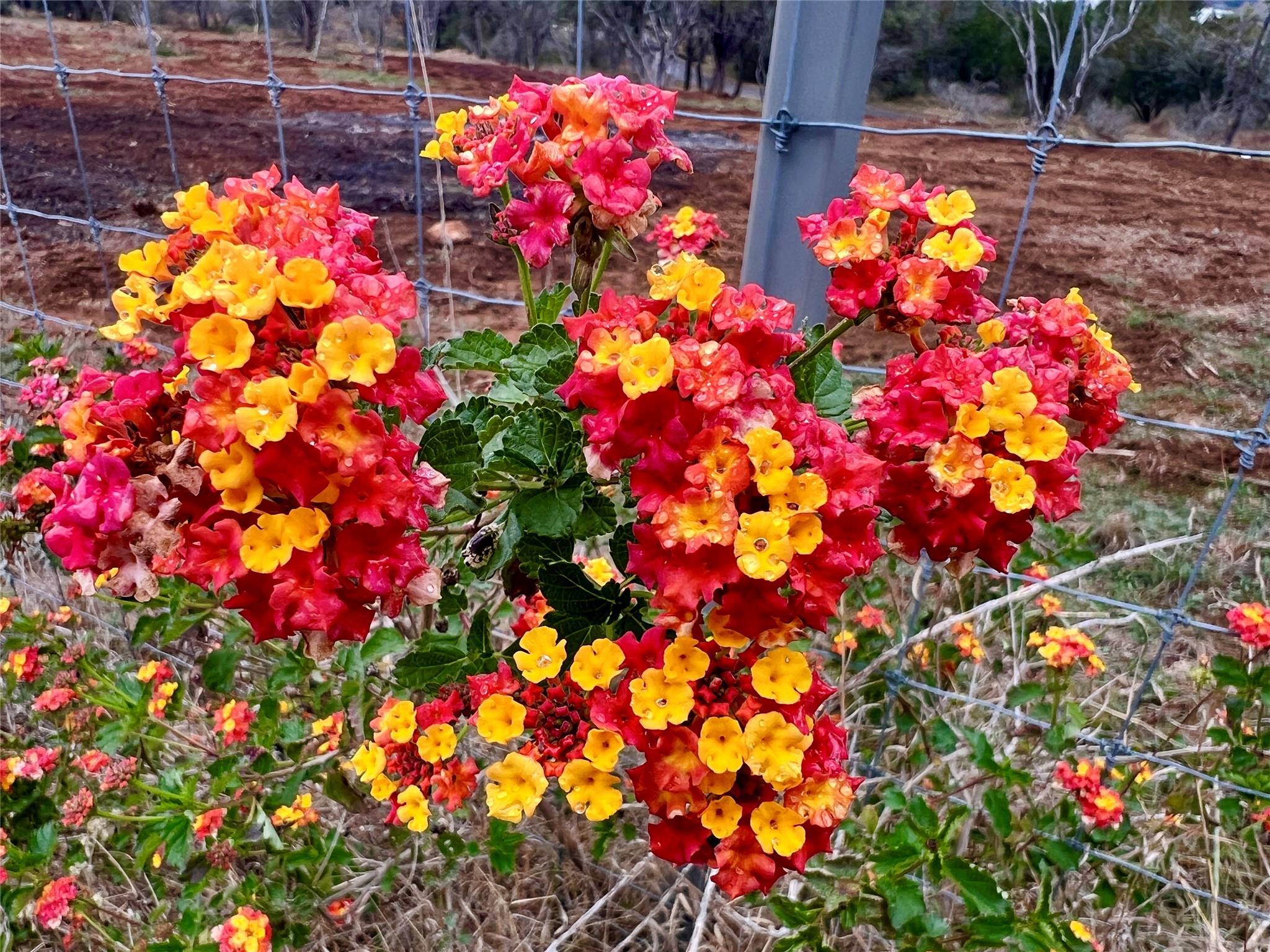 TBD Apache Tears, Horseshoe Bay, TX 78657